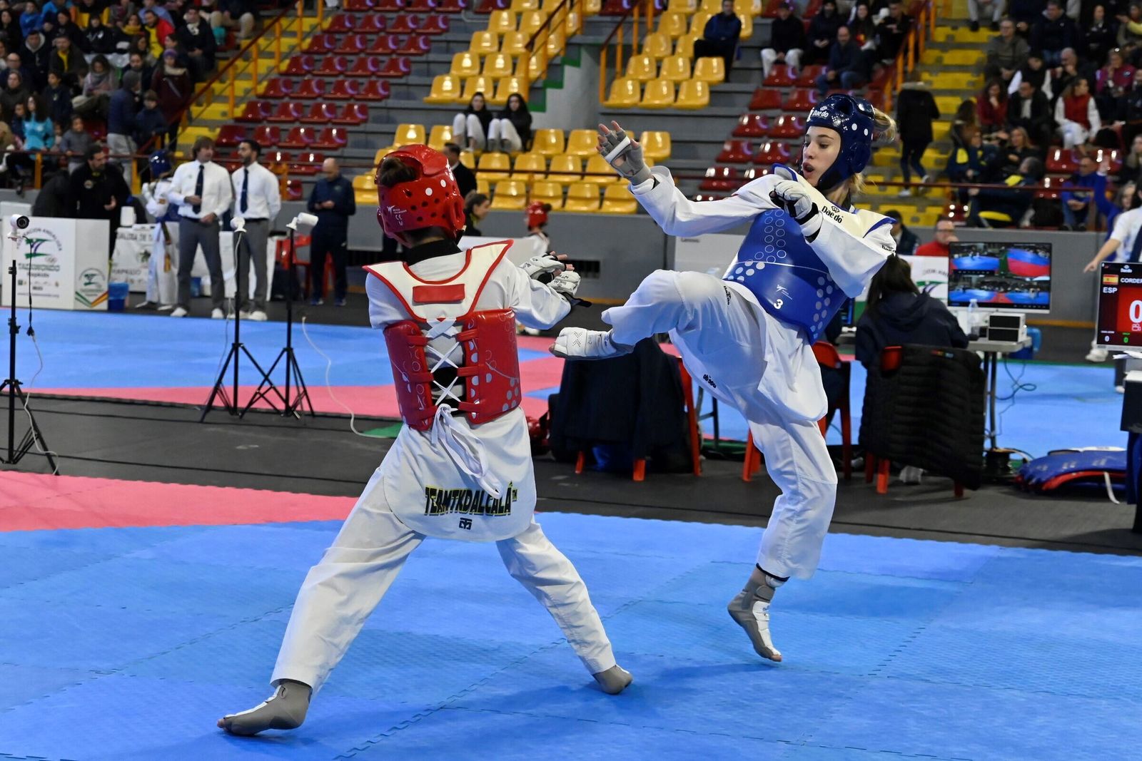 Las mejores fotos del Open Internacional de Taekwondo celebrado en Córdoba