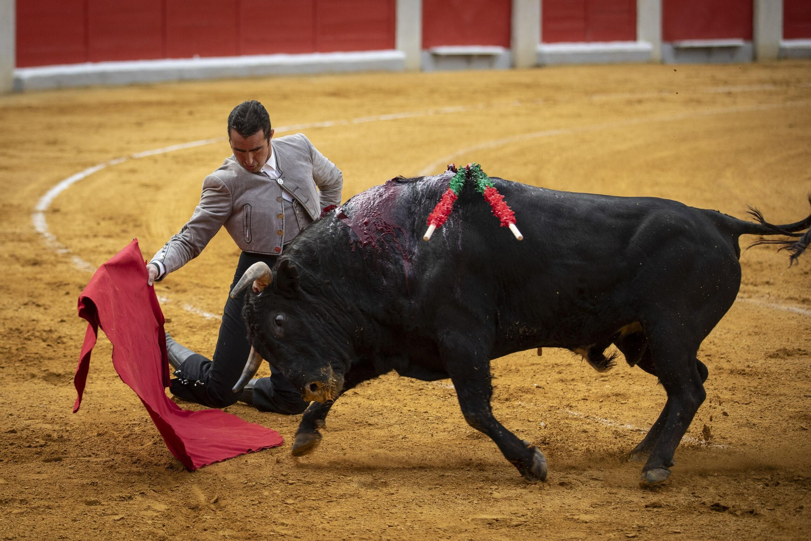 El Festival Taurino a beneficio de Granadown, en imágenes