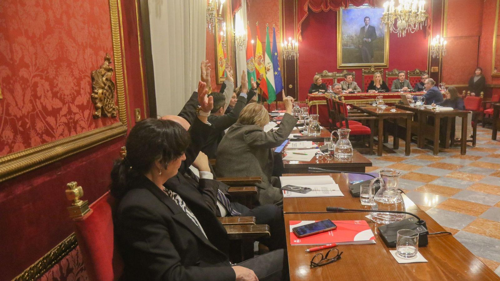 PSOE y Vox han votado en contra.