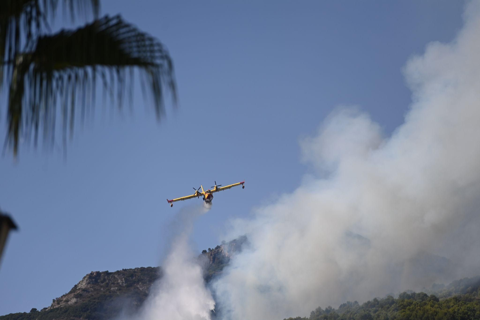 Las fotos de la lucha contra el fuego en Pinos de Alhaurín