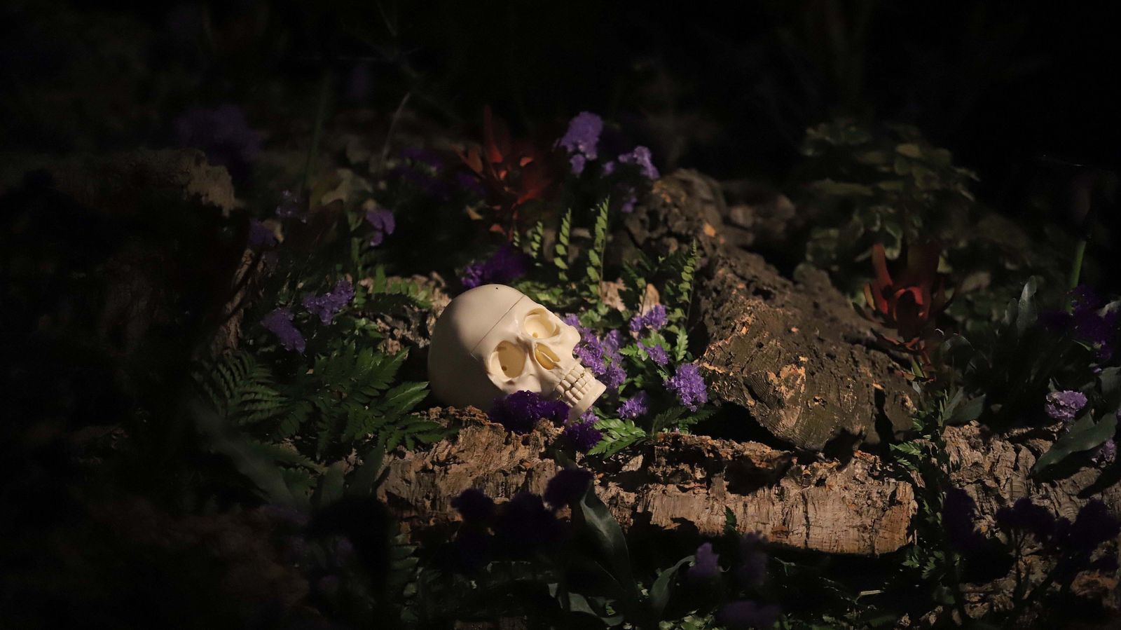 Altares extraordinarios de las cuatro hermandades de Los Barrios