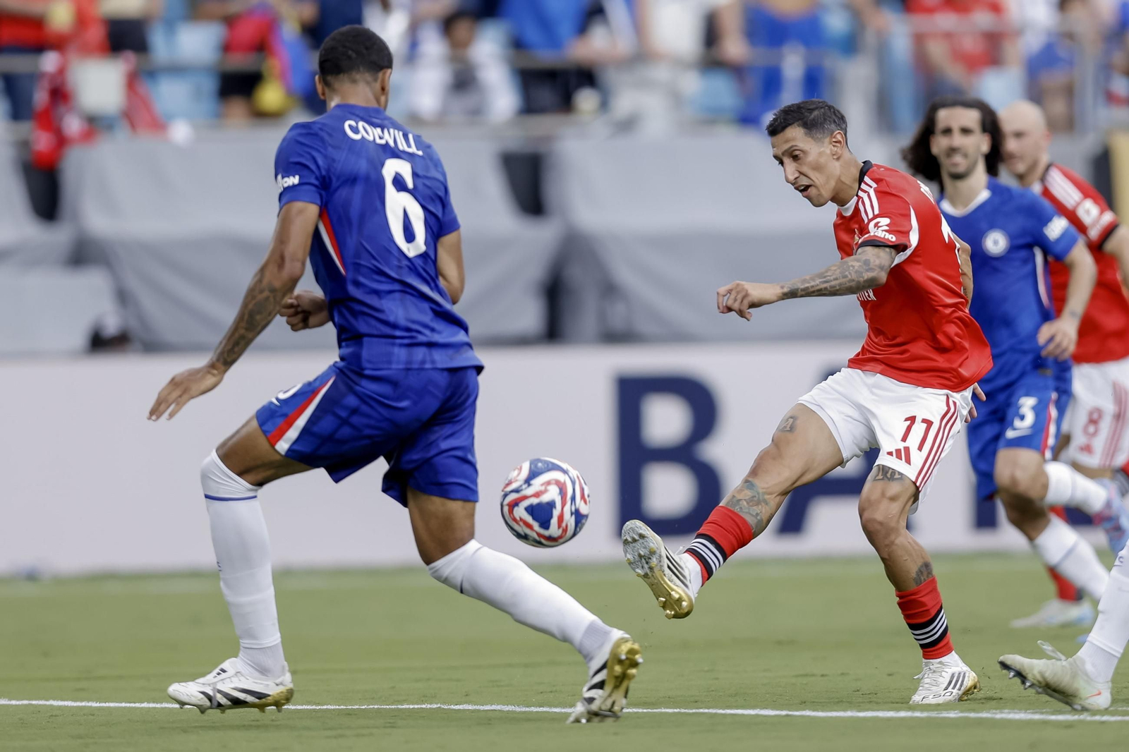 Benfica-Chelsea (14).jpg