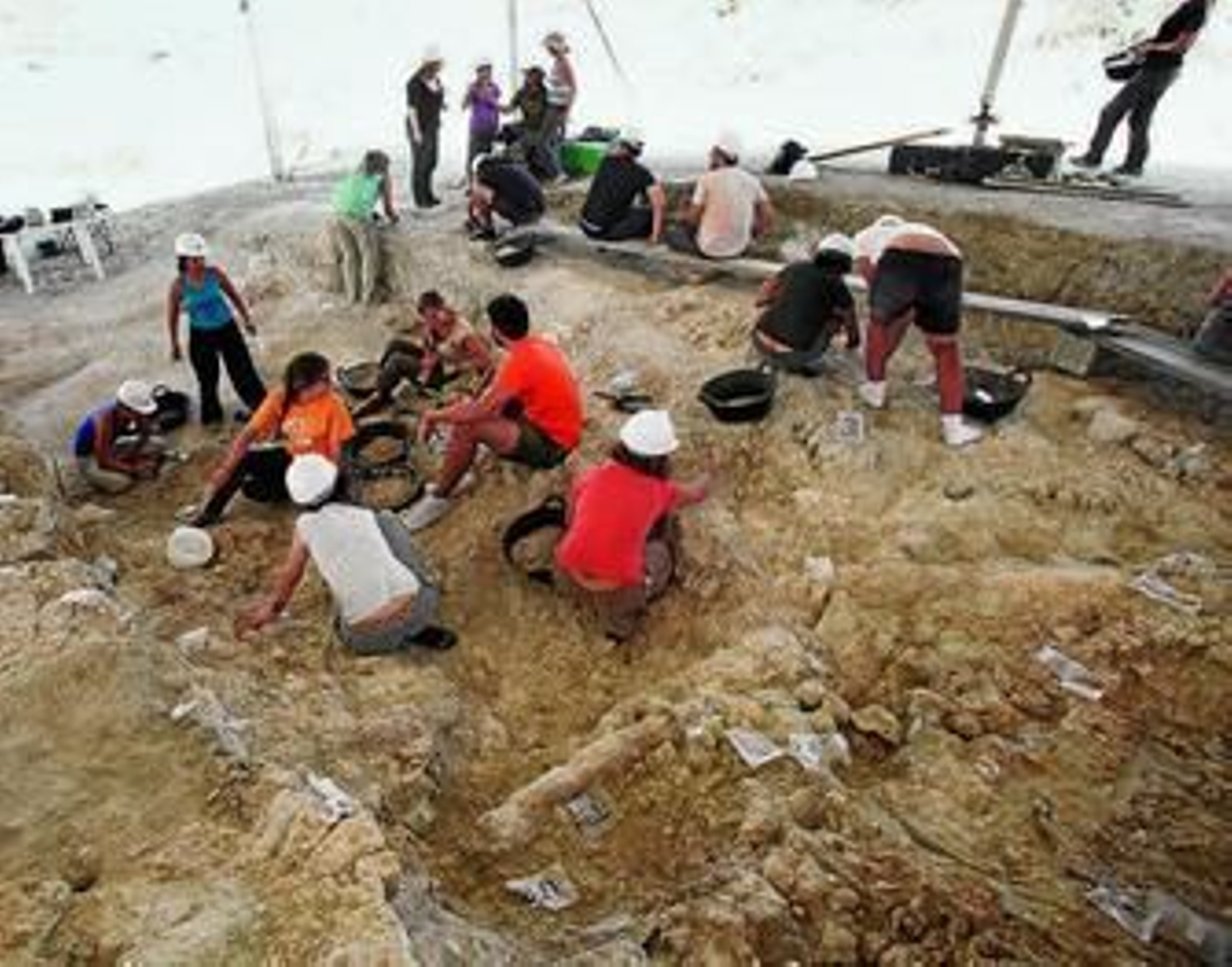 Los trabajos empezaron la semana pasada y terminarán alrededor del 9 de septiembre.