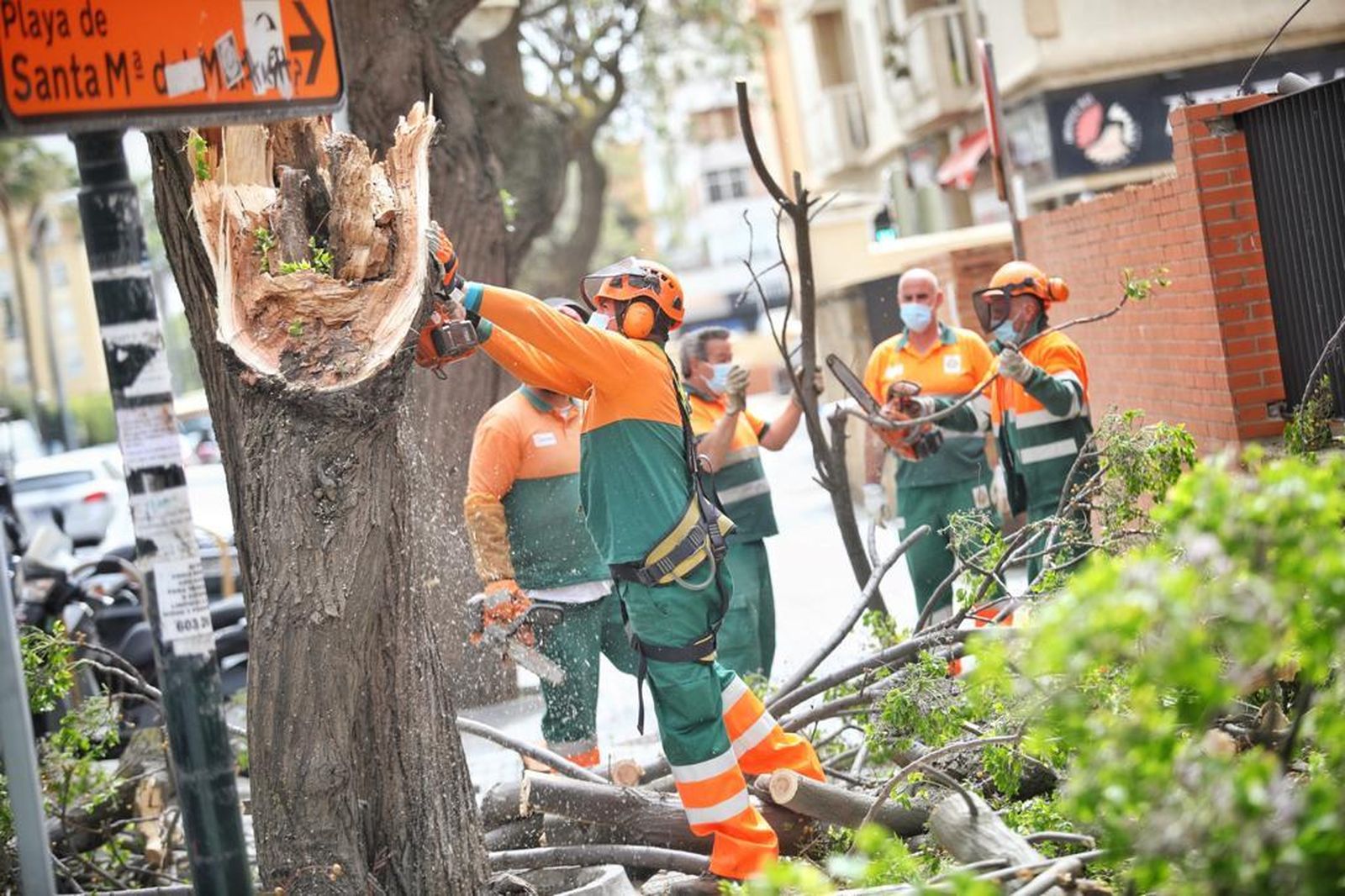 Imágenes: Los efectos del temporal de viento de Levante en Cádiz