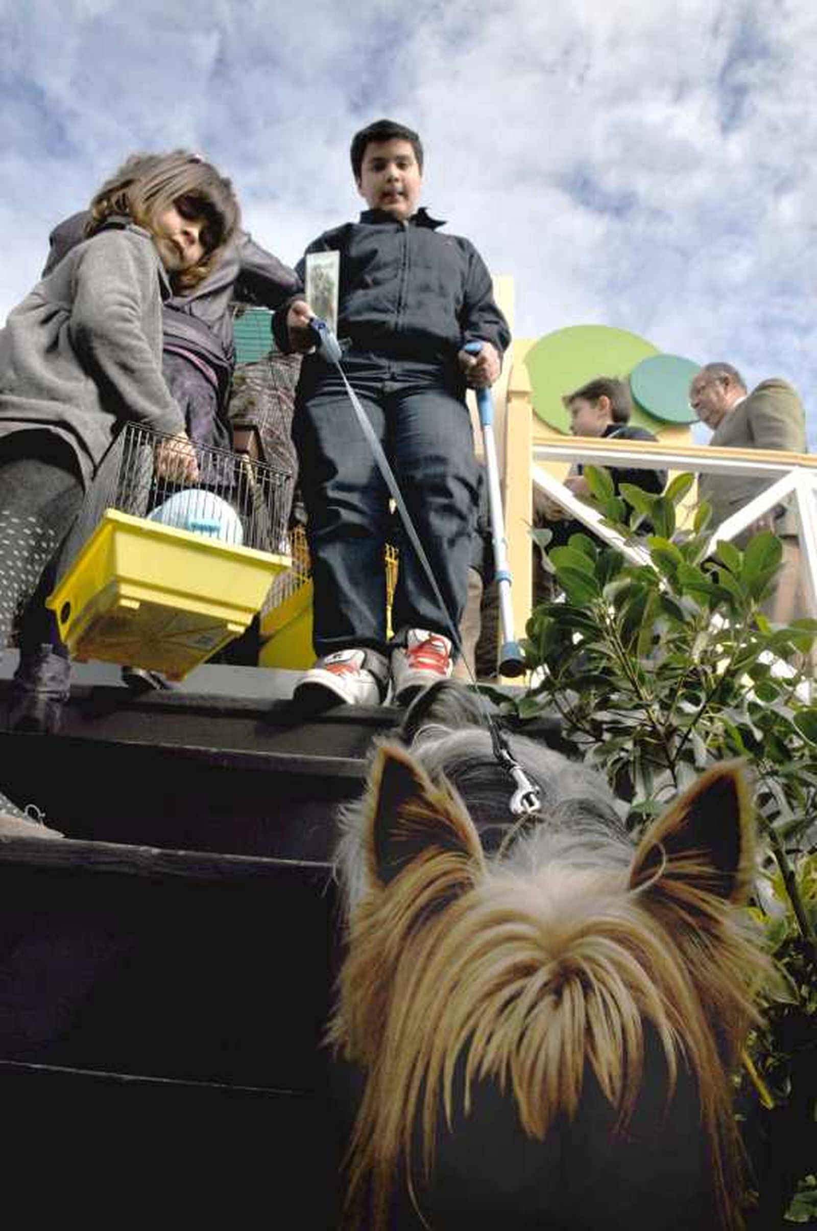 El parque González Hontoria acoge un año más la festividad de San Antón en el que los perros protagonizan la celebración pues de los 800 animales inscritos 600 eran canes.

Foto: Manu Garcia