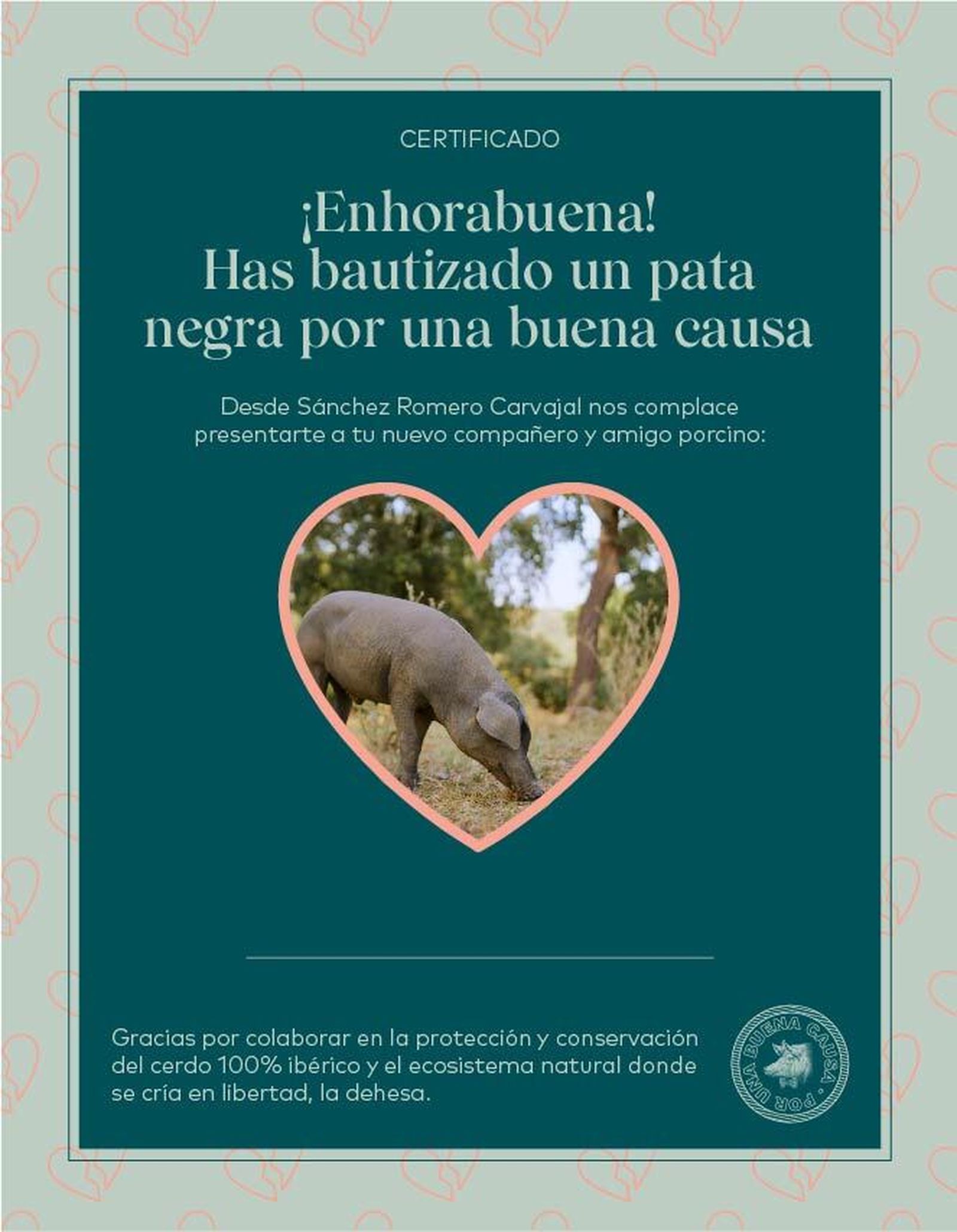 Certificado cerdo bautizado