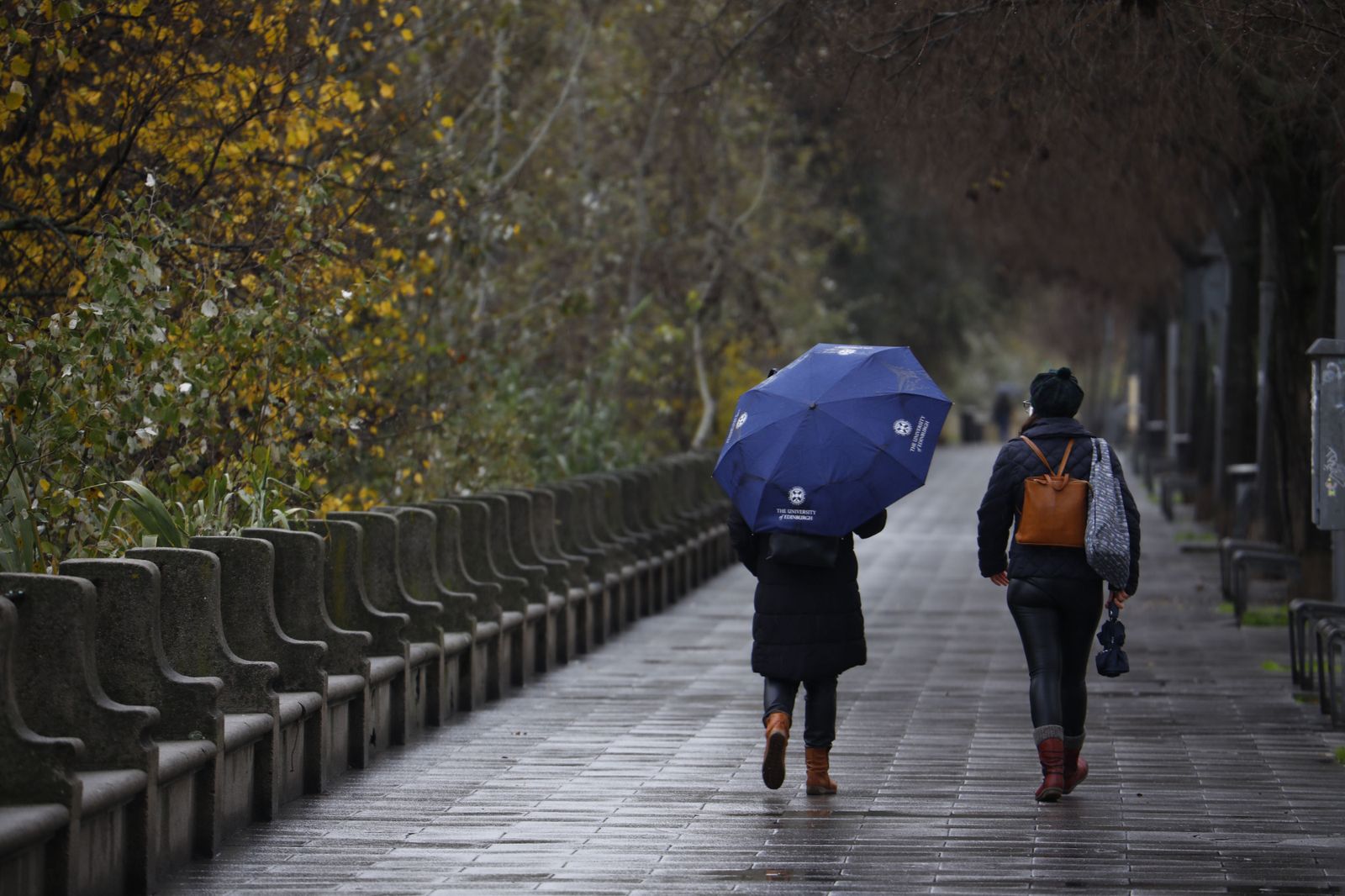 Las fotografías del paso de la borrasca Filomena por Córdoba