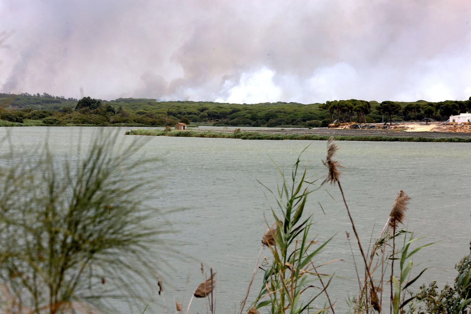 Las consecuencias del incendio en Mazagón