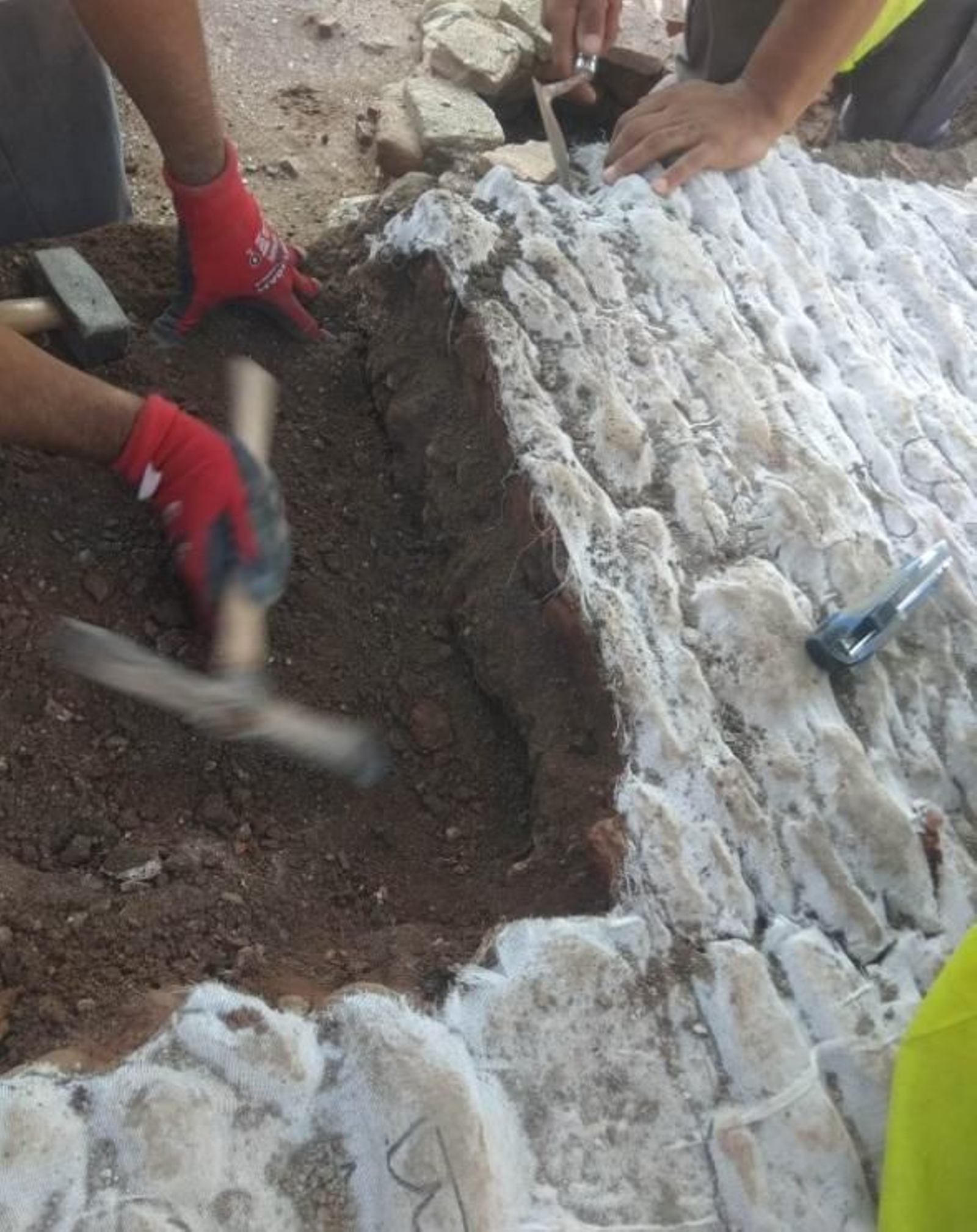 Trabajos de extracción de parte de los restos encontrados en la Avenida de Andalucía.