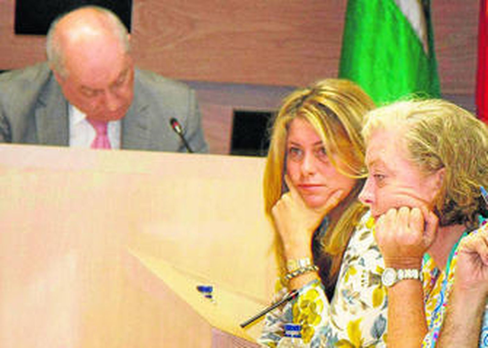 Leocadia Benavente, ayer en el pleno extraordinario en el que dio la sorpresa votando en contra del PP.