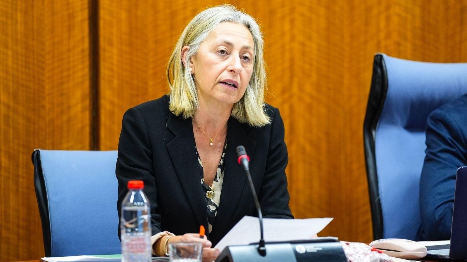 La consejera de Salud y Consumo, Rocío  Hernández, en la comisión parlamentaria de hoy.