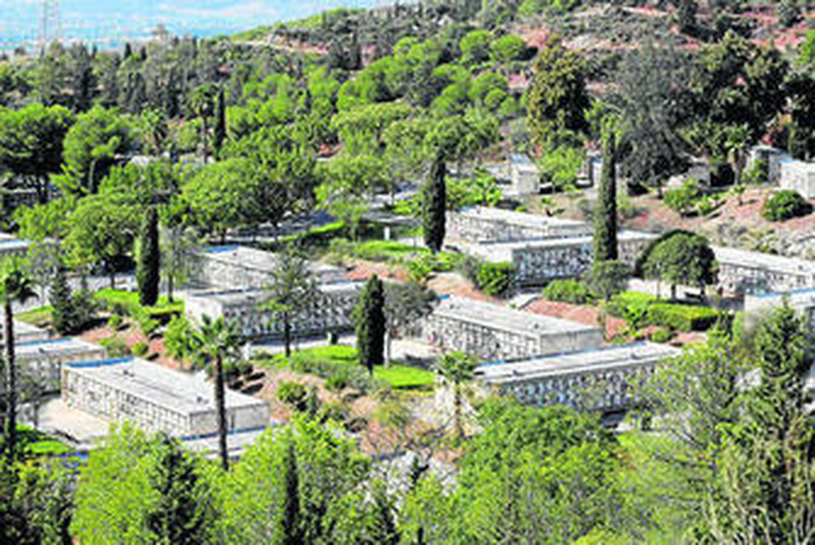 El destino de las cenizas