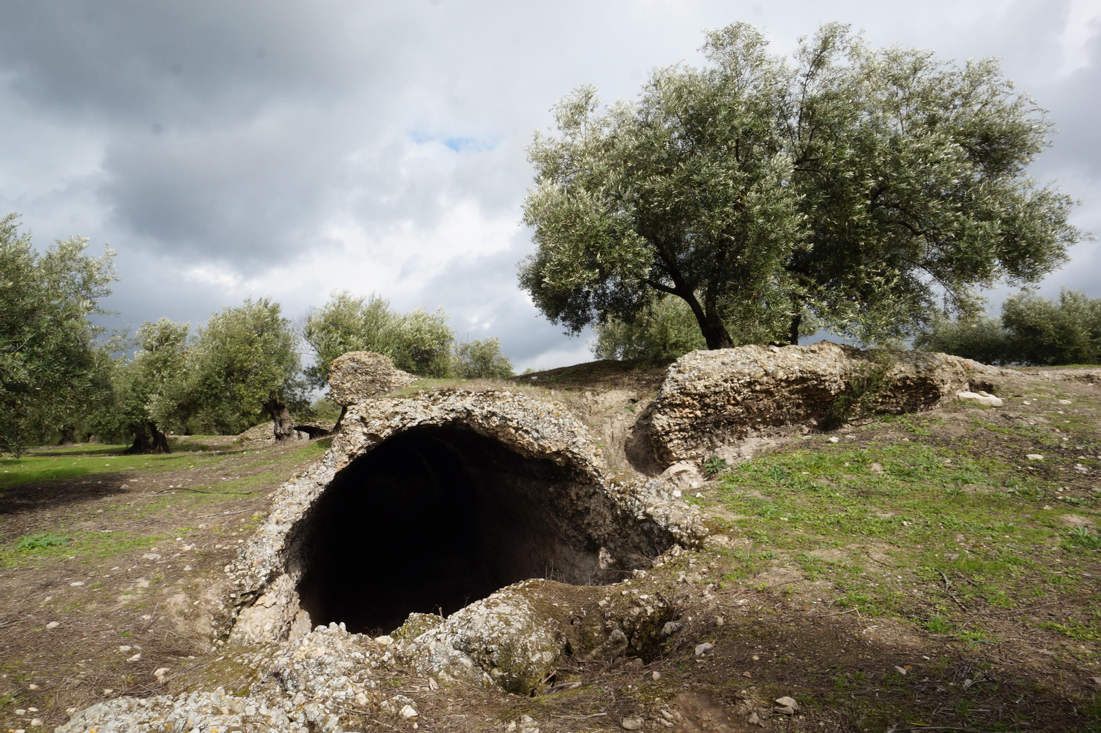 Los silos romanos del Carchena en Castro del Río, en fotografías