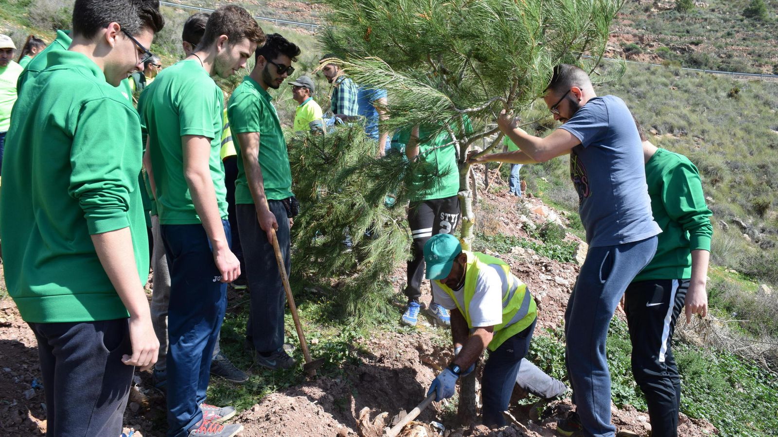 Plantación de árboles del Plan Savia en Vícar en 2017.
