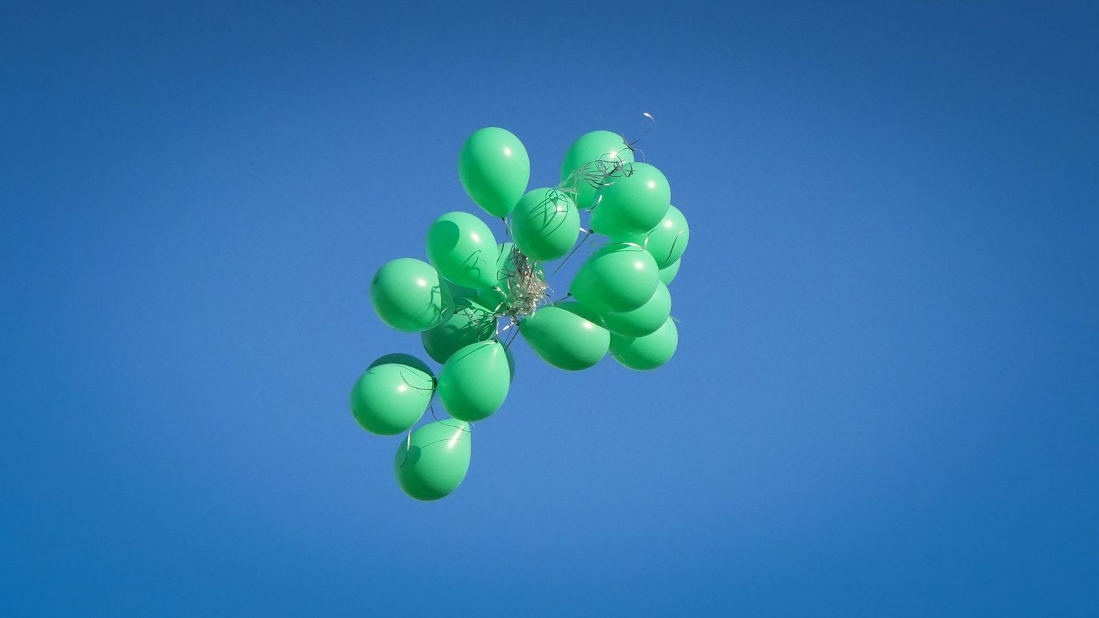 Búscate en el partido entre el Xerez CD - Linares