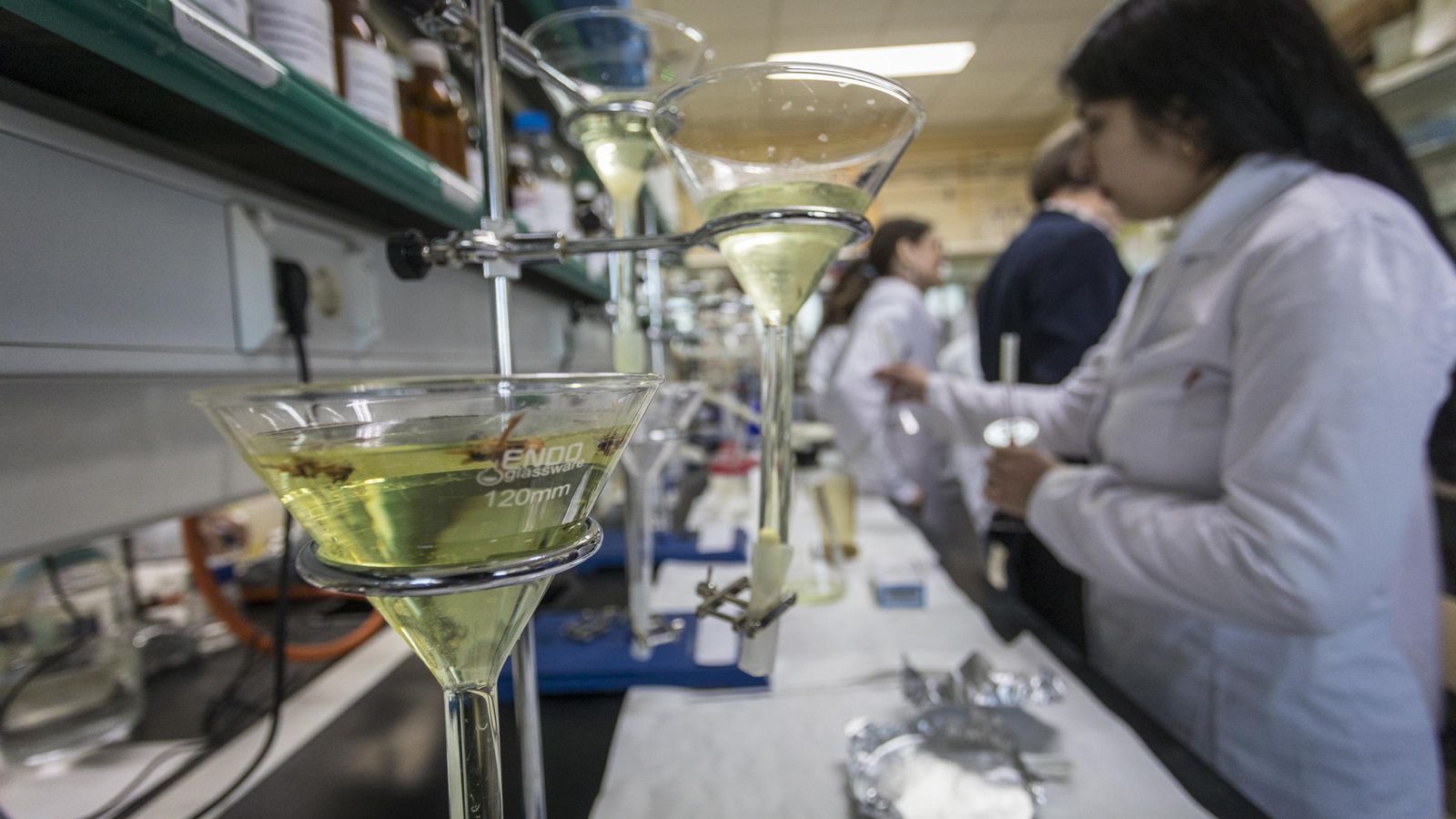 El equipo, en el laboratorio de la Facultad de Ciencias del Mar.