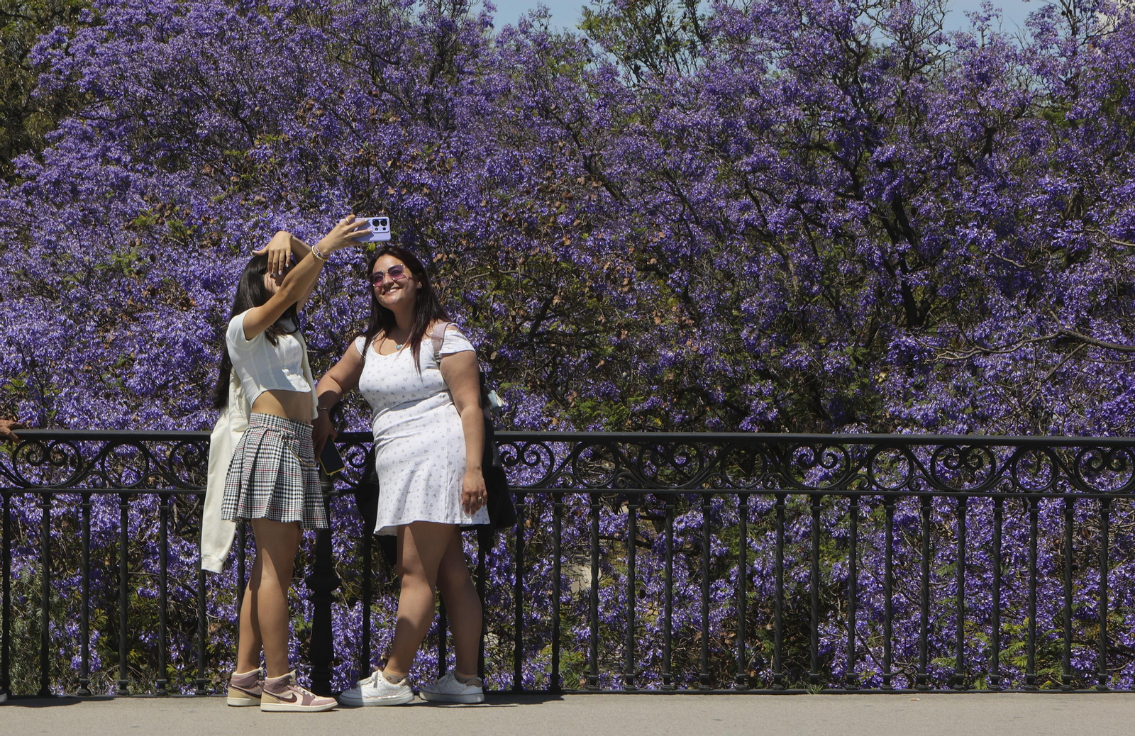 Espectáculo de colores y fragancias en la primavera de Sevilla / JOSÉ ÁNGEL GARCÍA