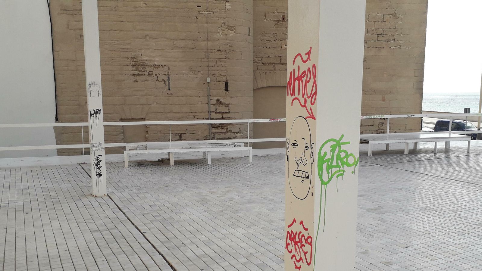 Pintadas en el mirador