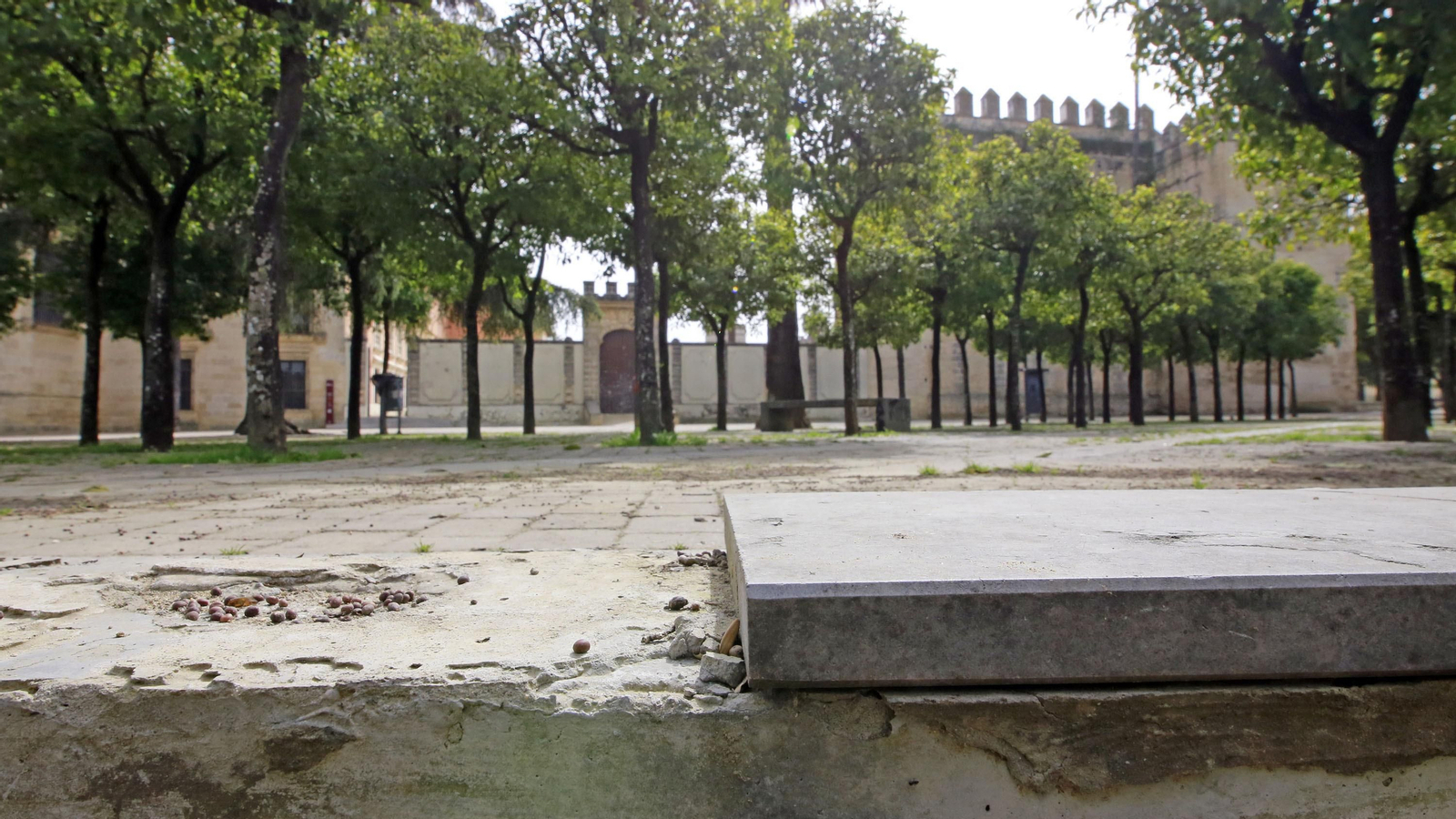 Abandono en la Alameda Vieja