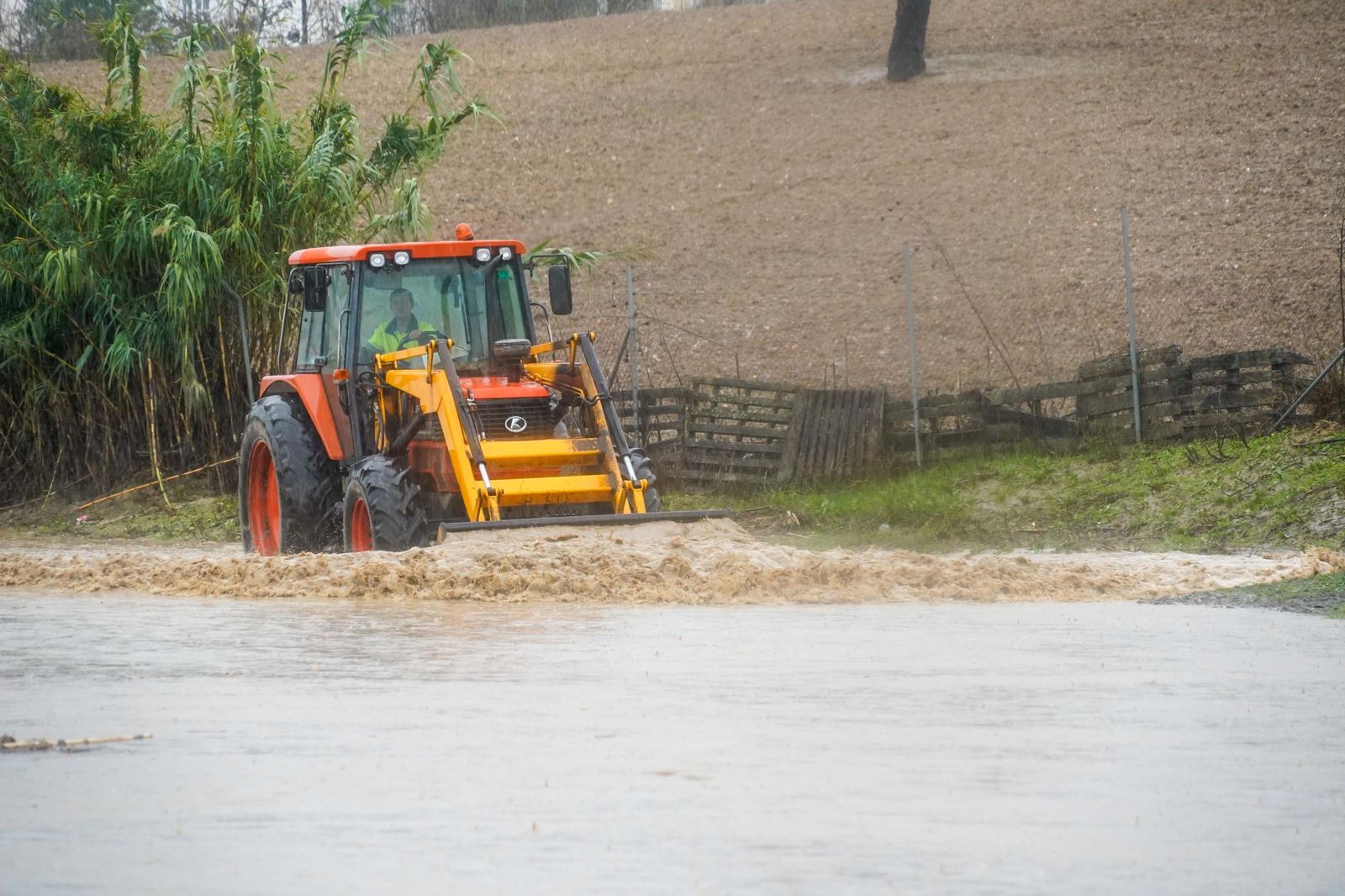 Las mejores imágenes del viernes 1 de noviembre en Huelva