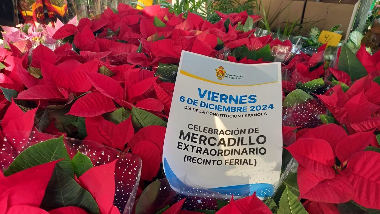 El viernes 6 de diciembre abrirán los mercados municipales de Algeciras y se celebrará un mercadillo extraordinario.