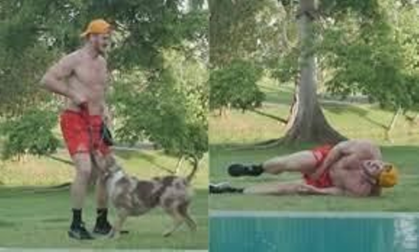 Este boxeador millonario ha sido mordido por su perro en los testículos y así lo captó su cámara