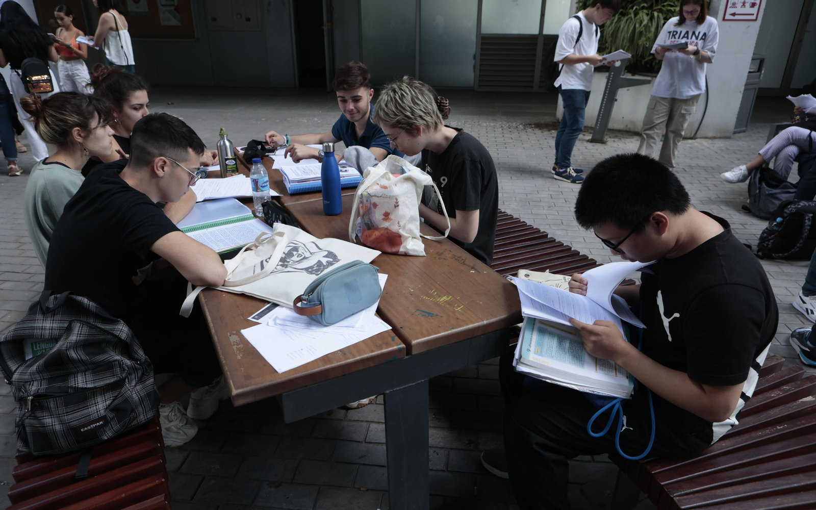 Las imágenes de la Selectividad en la Universidad de Sevilla