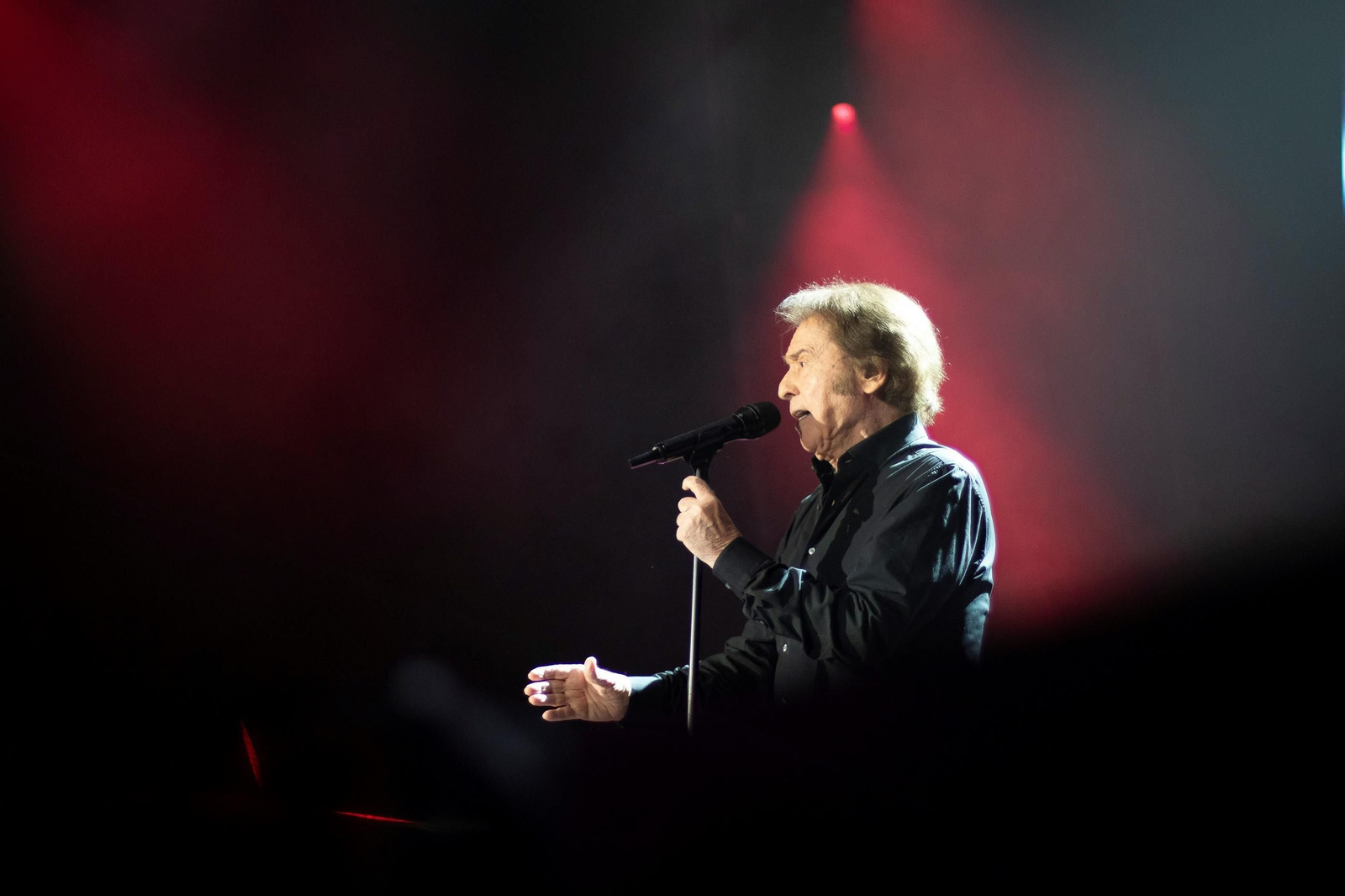 El concierto de Raphael en imágenes