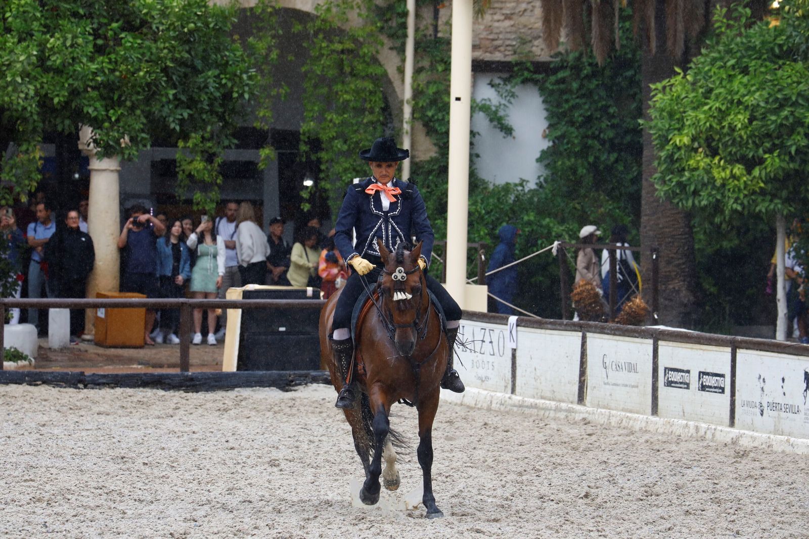 La celebración de la VI Copa de España de Alta Escuela en Córdoba, en imágenes