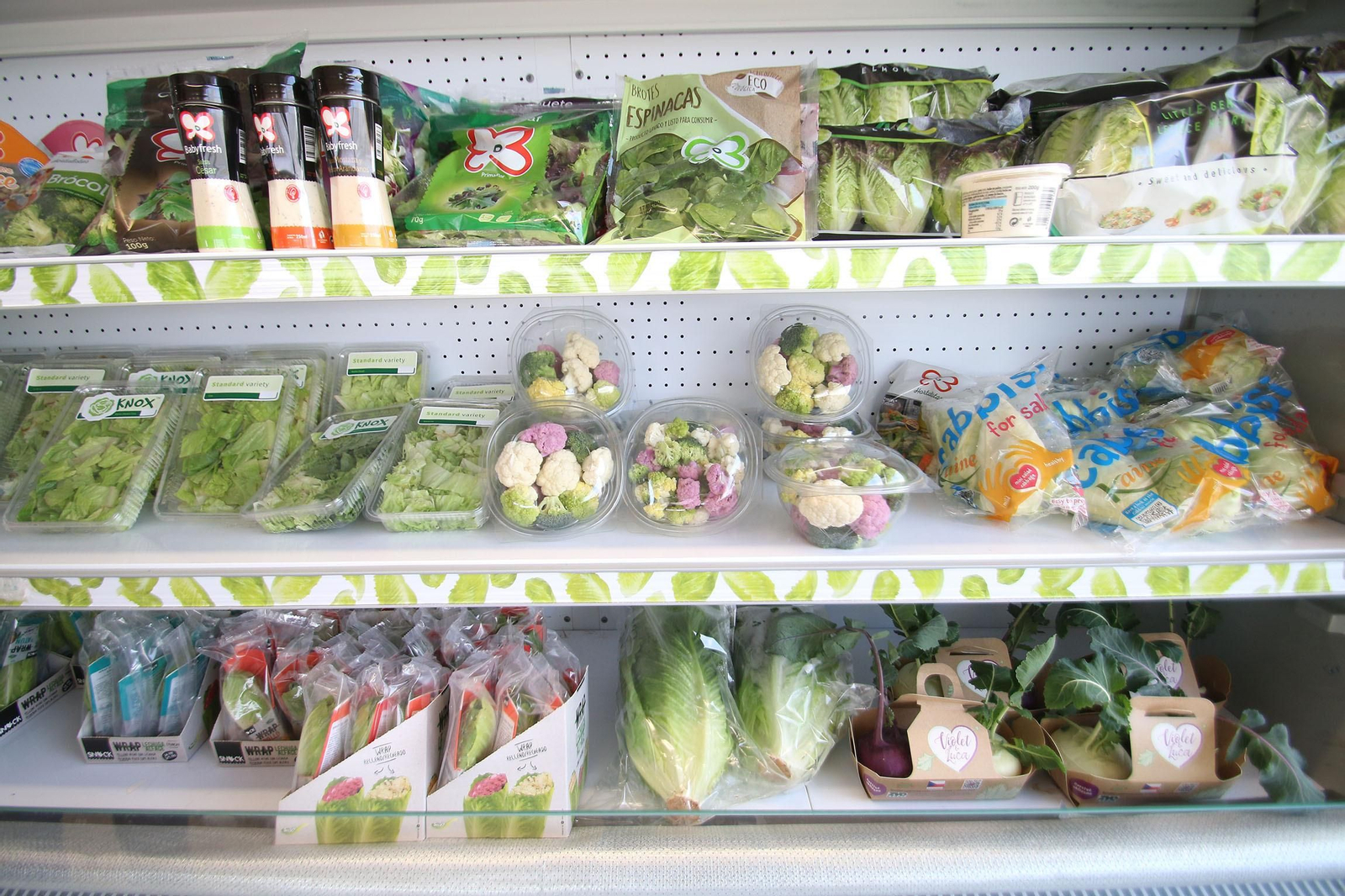 Fotogalería de las jornadas de puertas abiertas de Rijk Zwaan en Cartagena