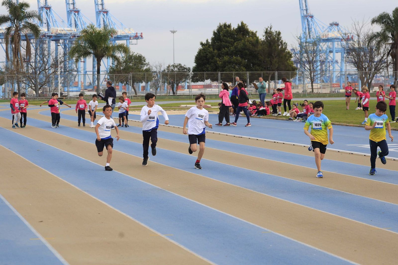 Las fotos de la final de los Juegos Municipales de Atletismo de Algeciras sub-8 y sub-10