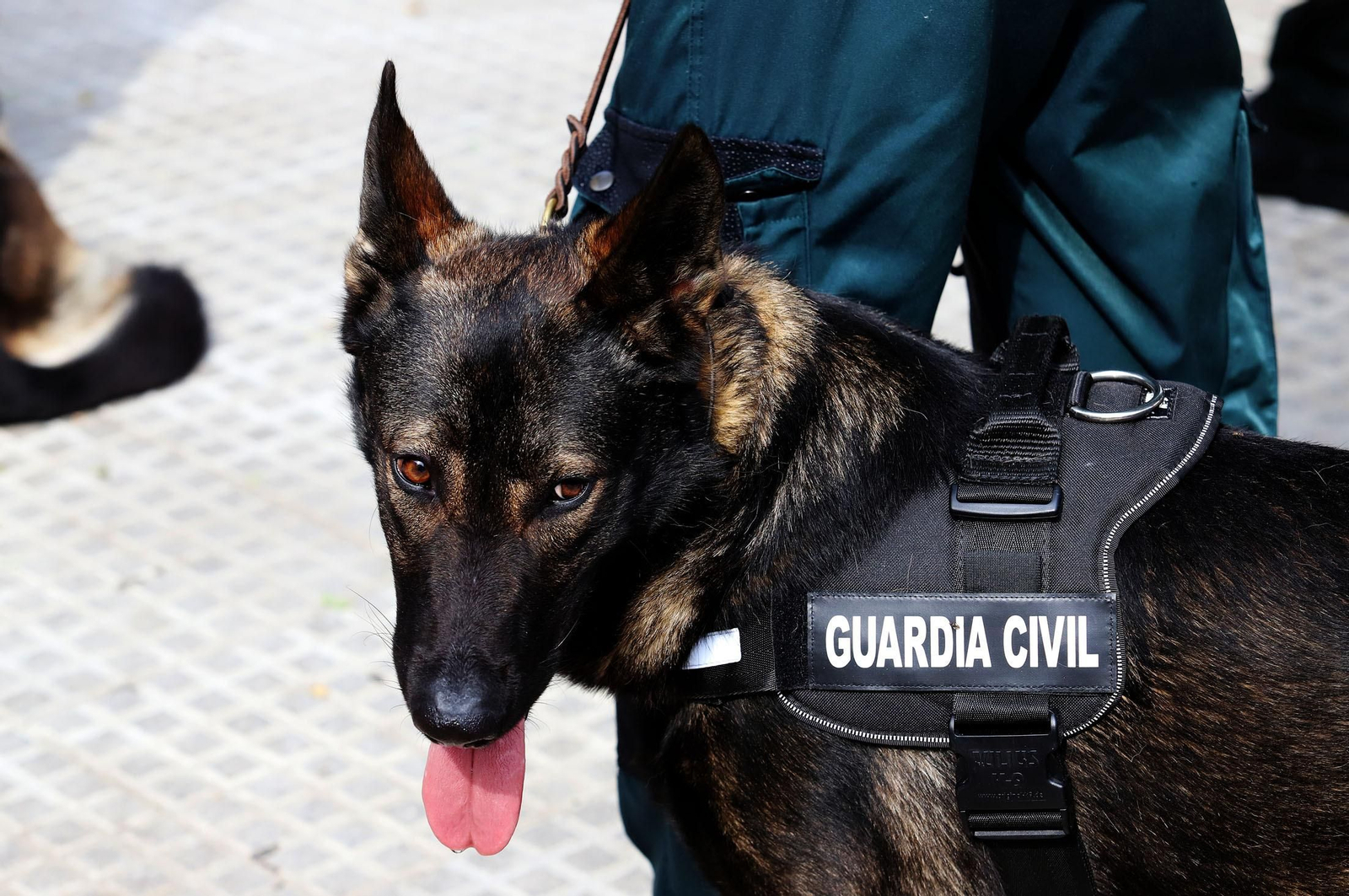 Imágenes del martes 12 de octubre en Huelva