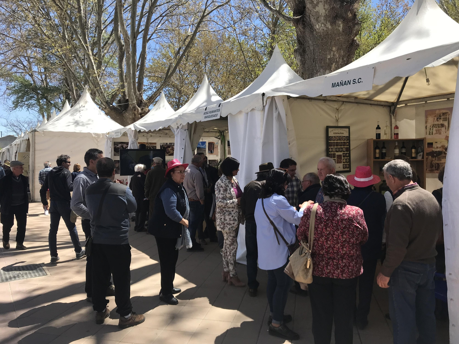 Imágenes de Terracultura 2019, en Chirivel