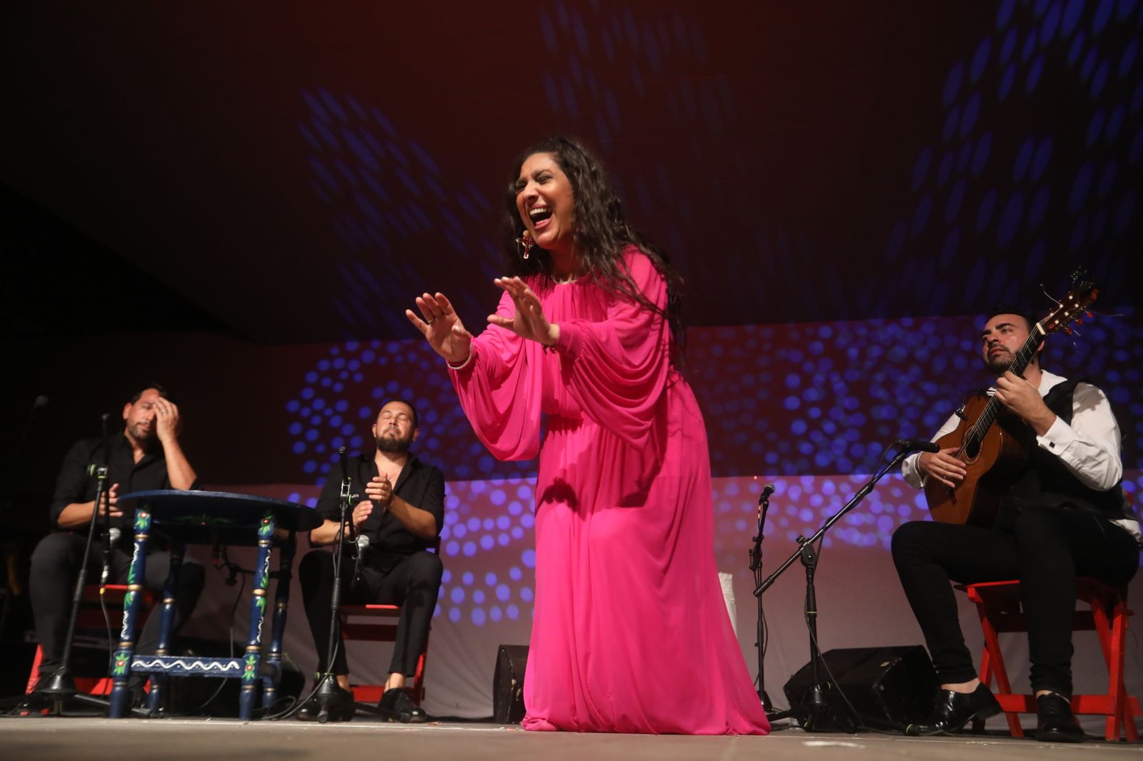 La noche flamenca en el Parque de San Fernando, en imágenes