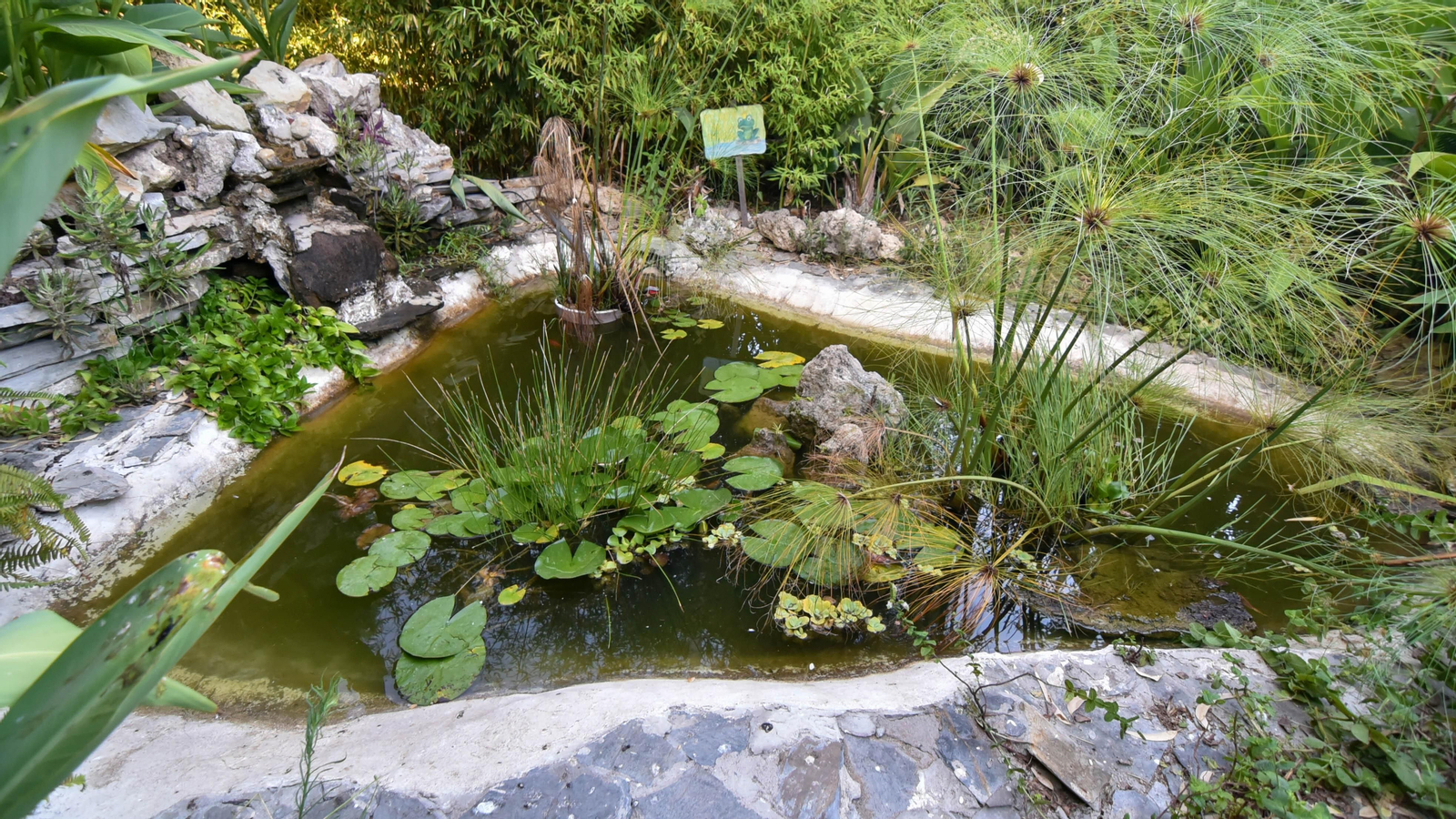 Un día en el Parque Princesa Sofía en La Línea