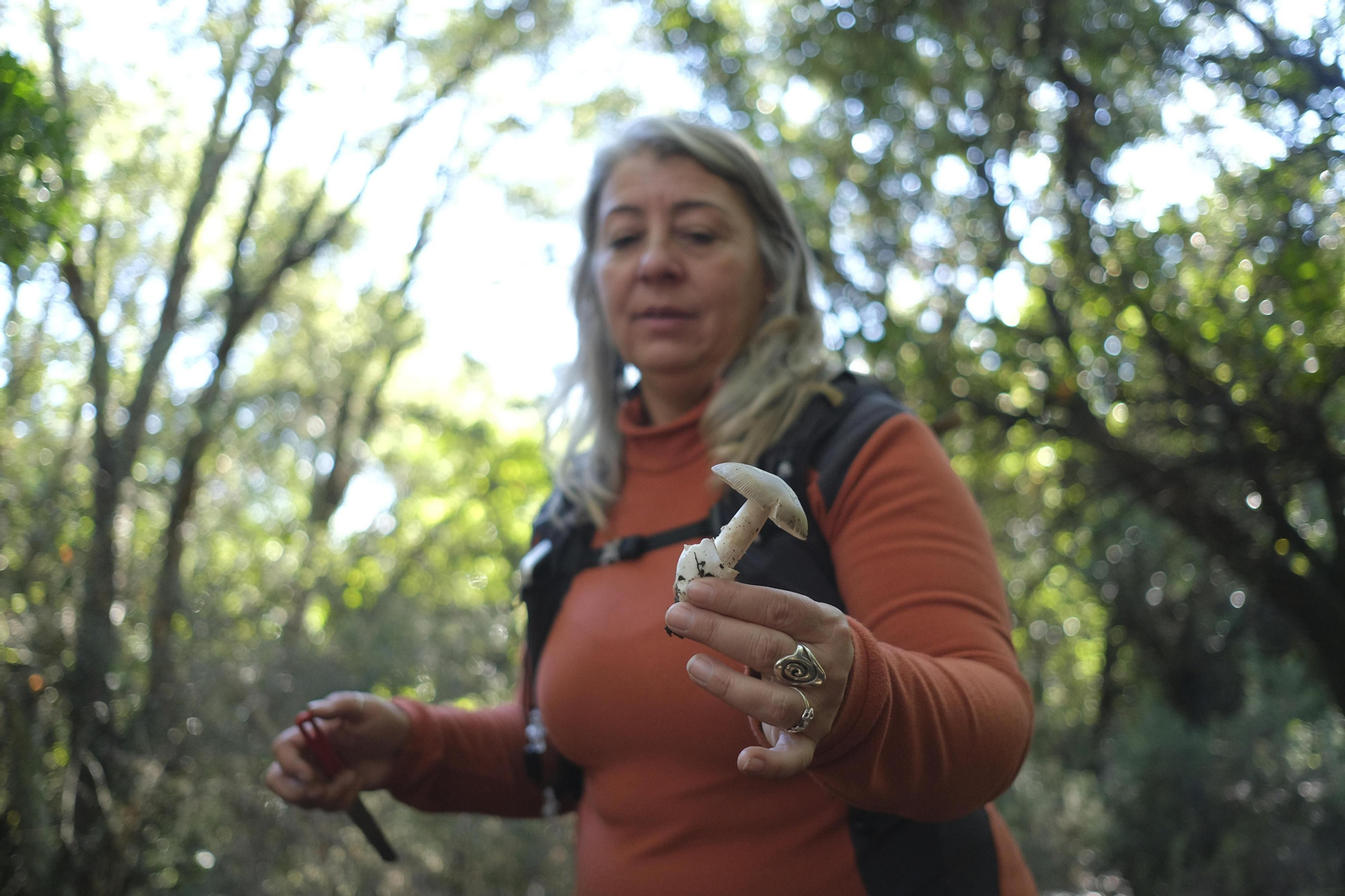Mocología de la Serranía de Ronda, en fotos.