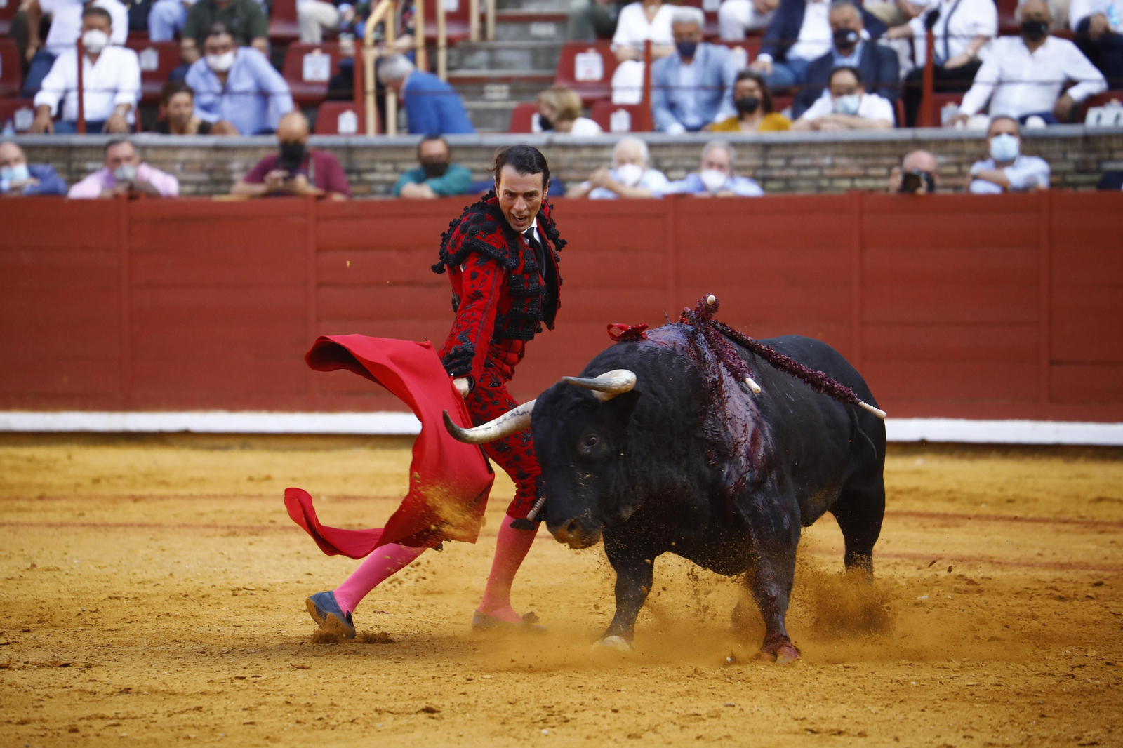 El mano a mano de Finito y Morante en la Feria Taurina de Córdoba, en imágenes