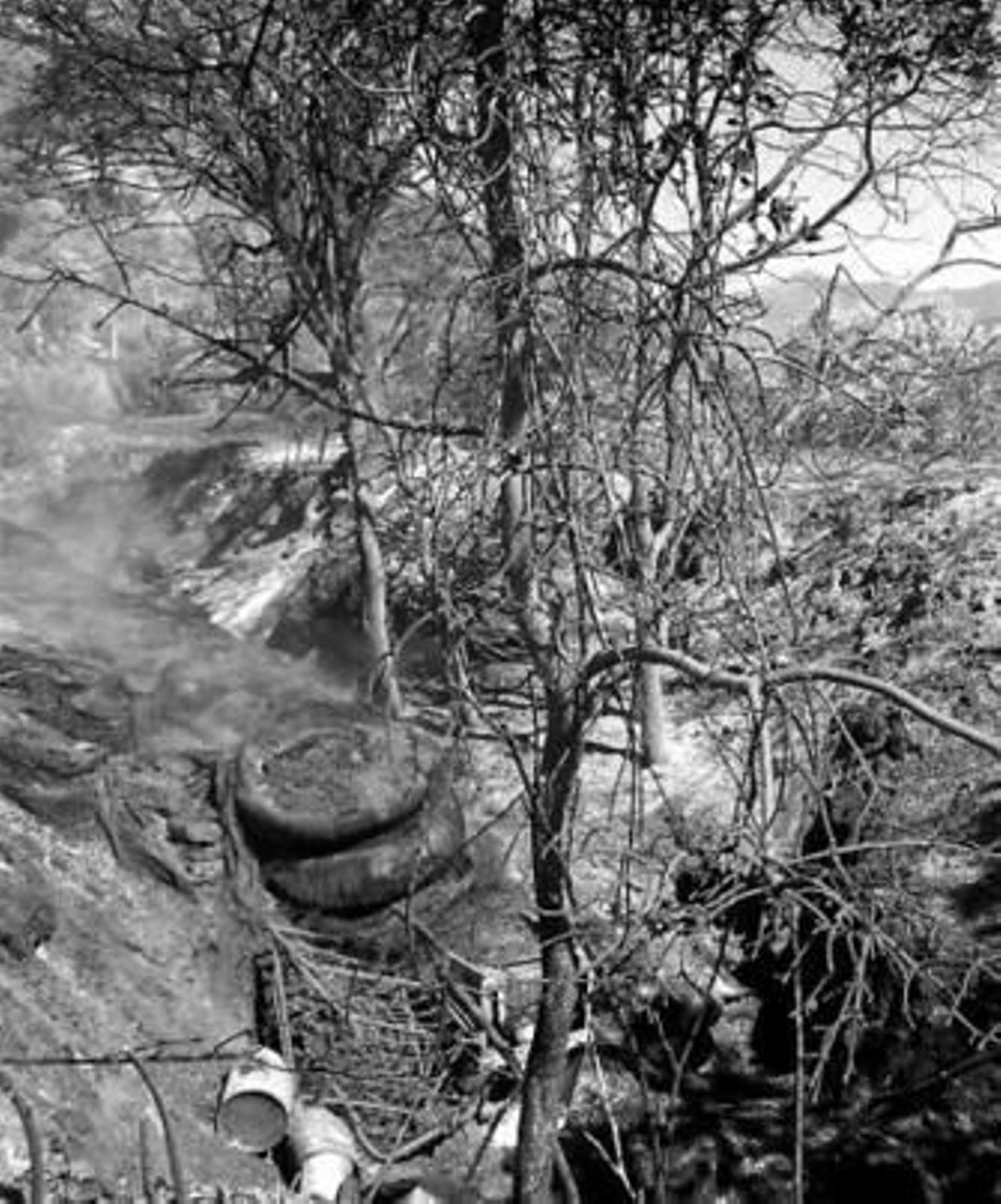 Zona calcinada por el fuego en Estepona.