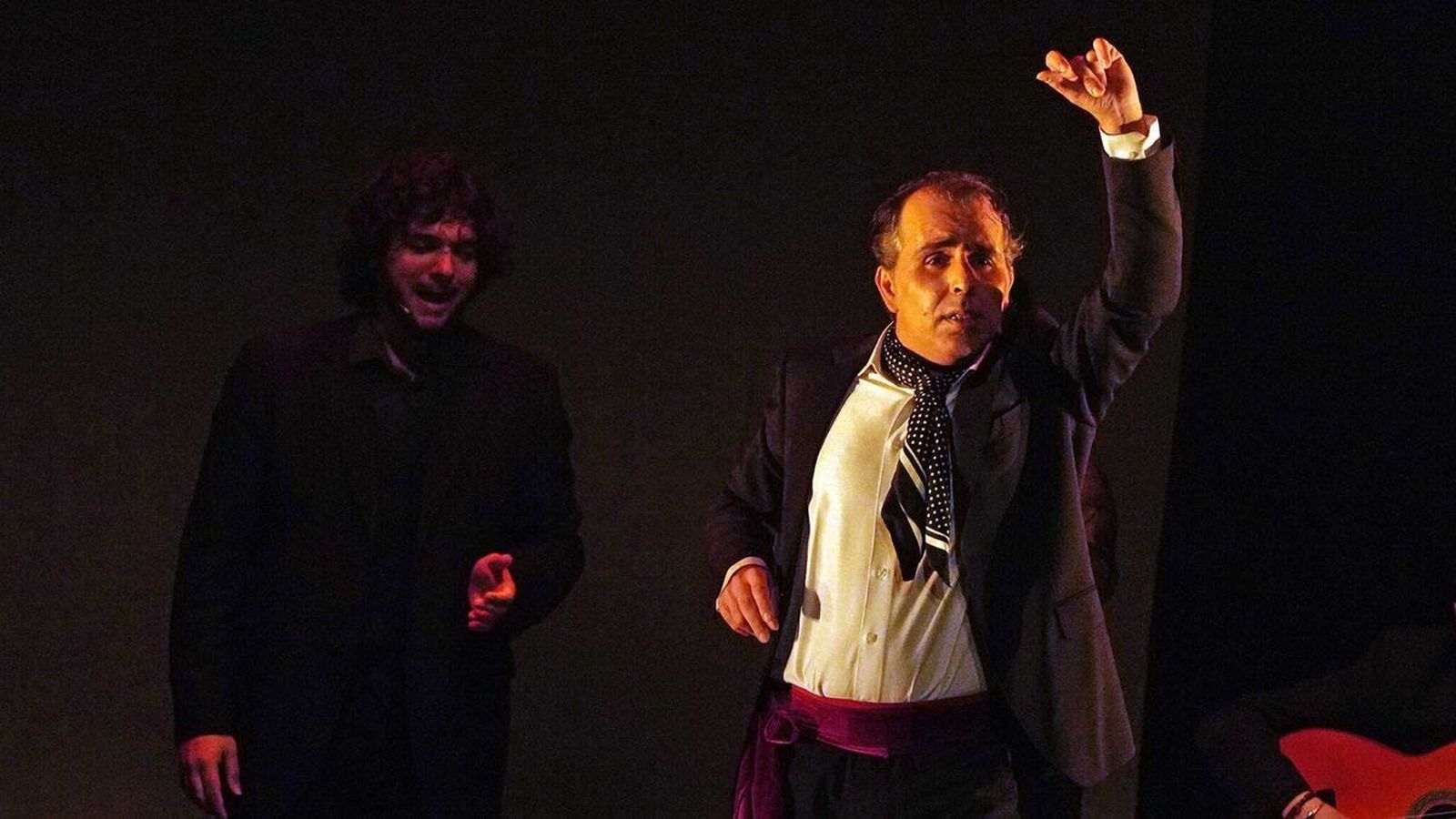 Pepe Torres durante una actuación en el Teatro Villamarta