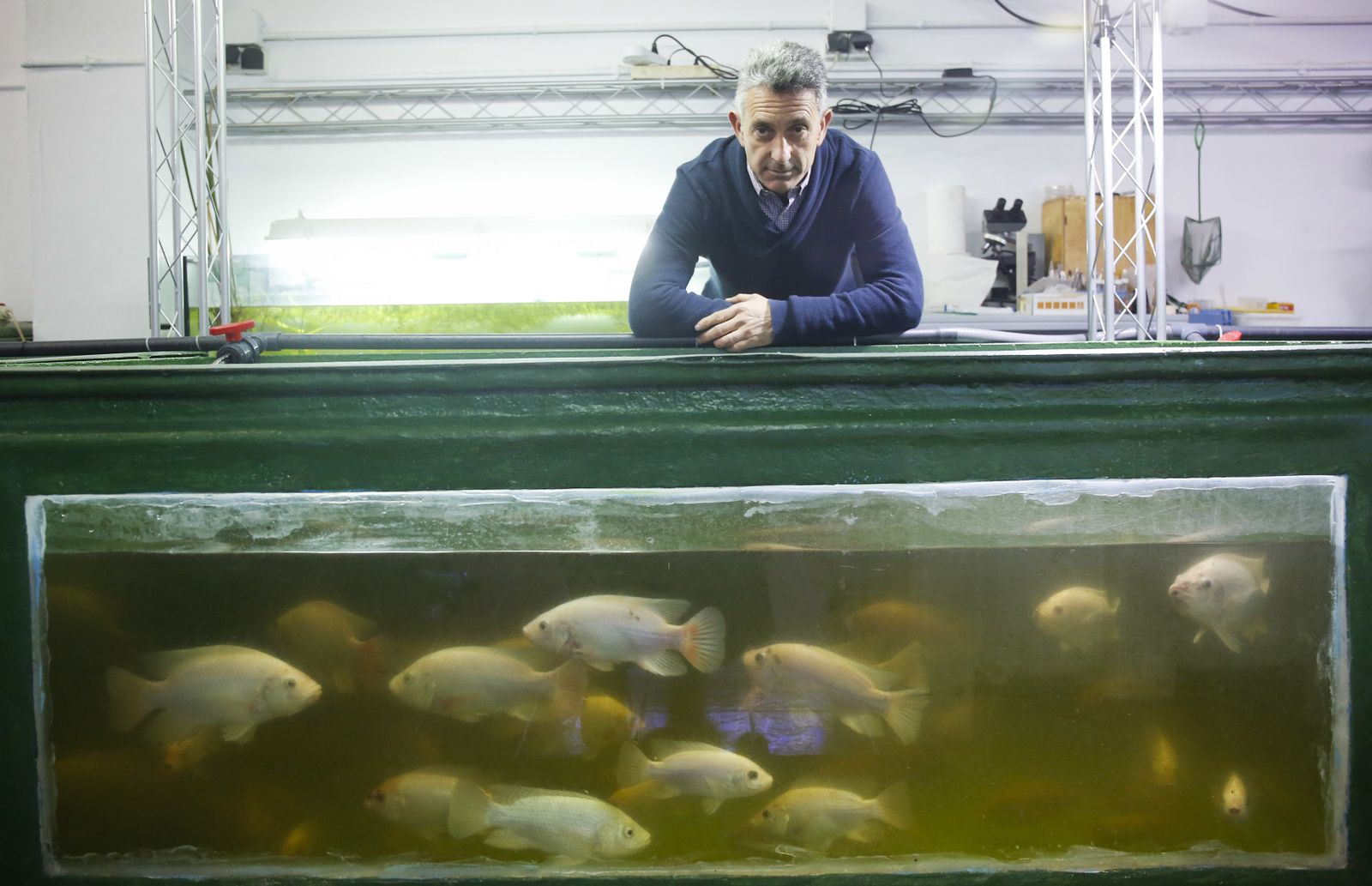El presidente del Aula del Mar muestra alevines de tilapia.