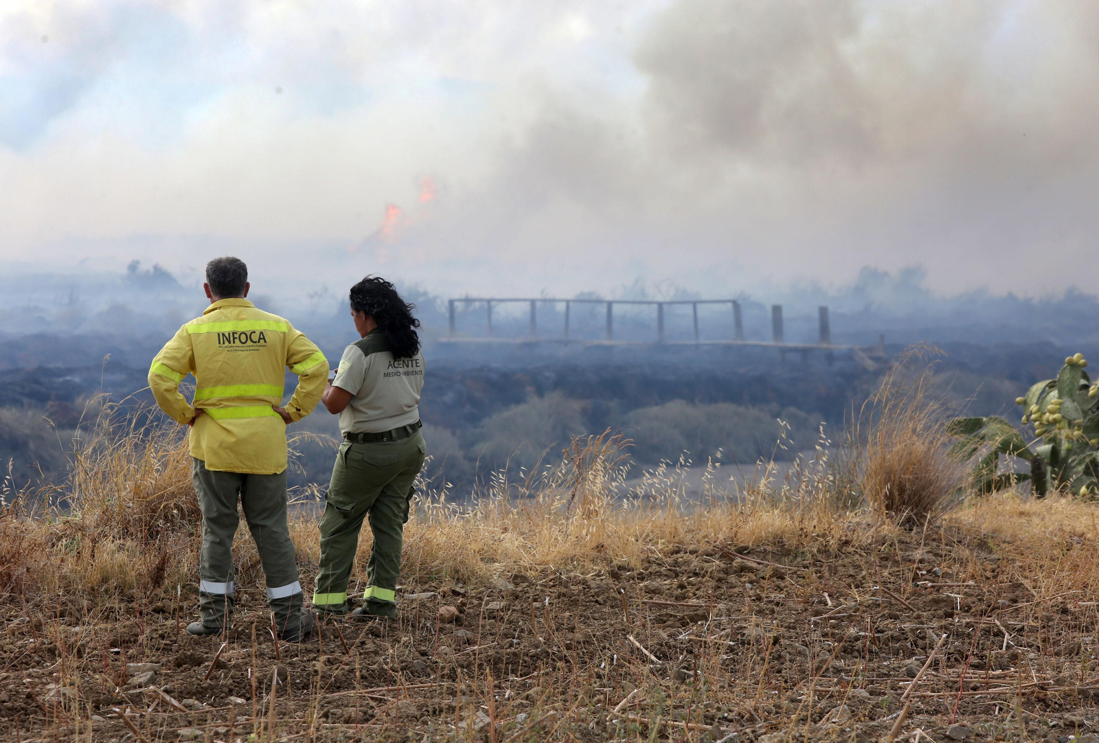 El incendio en las Marismas del Odiel.