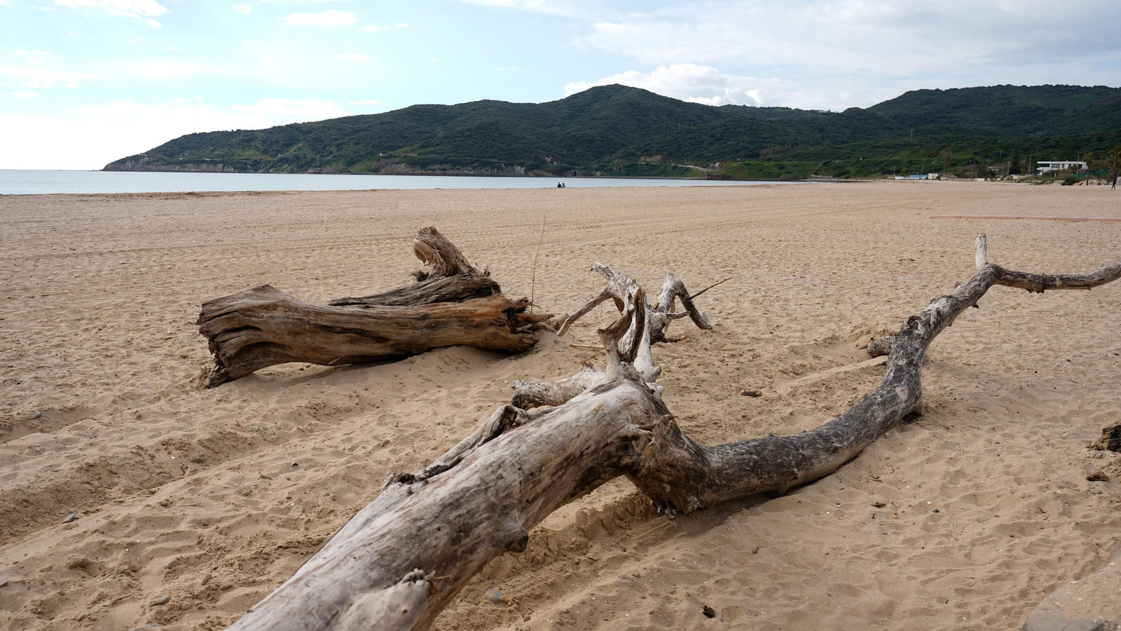 Fotos de la playa de Getares llena de cañas y desechos