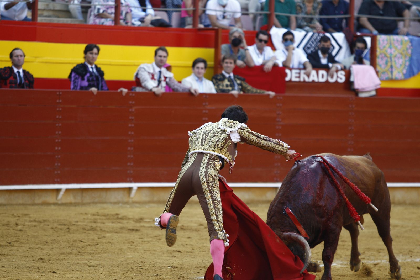 Fotogalería corrida de toros. Cayetano Rivera, Paco Ureña y Roca Rey. Roquetas de Mar.