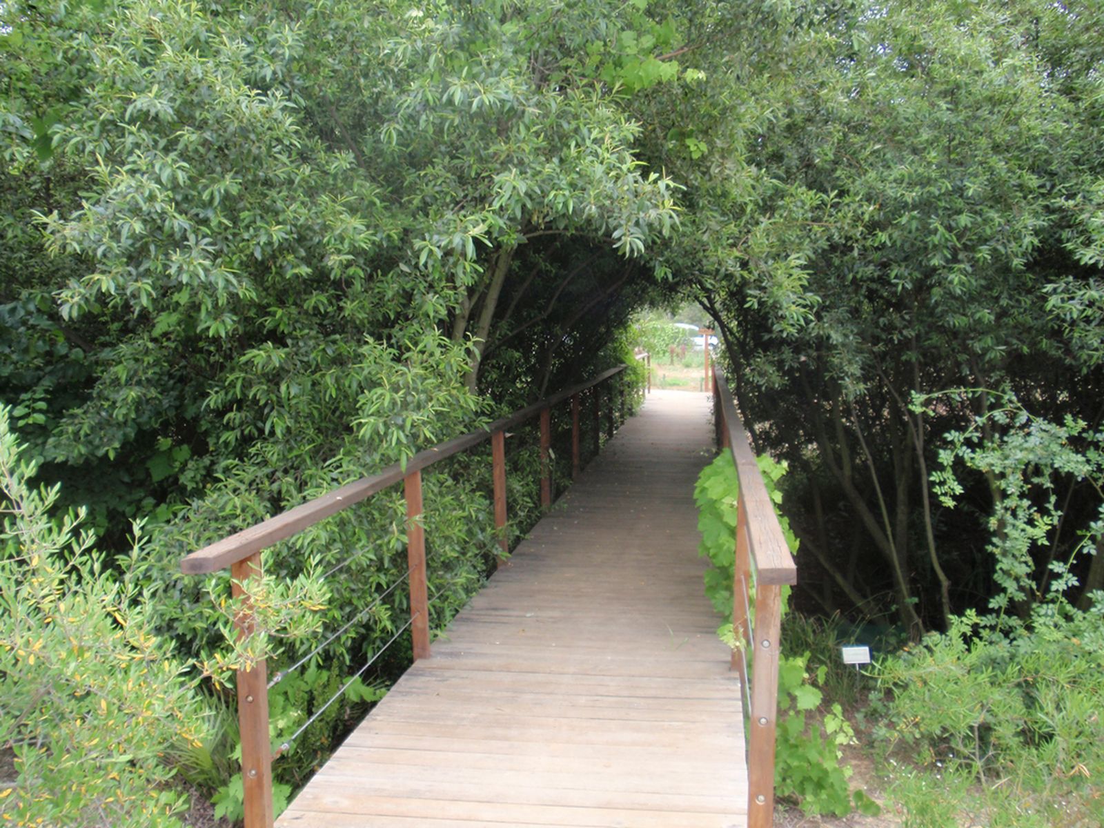 Dunas del Odiel, uno de los parques botánicos de Andalucía