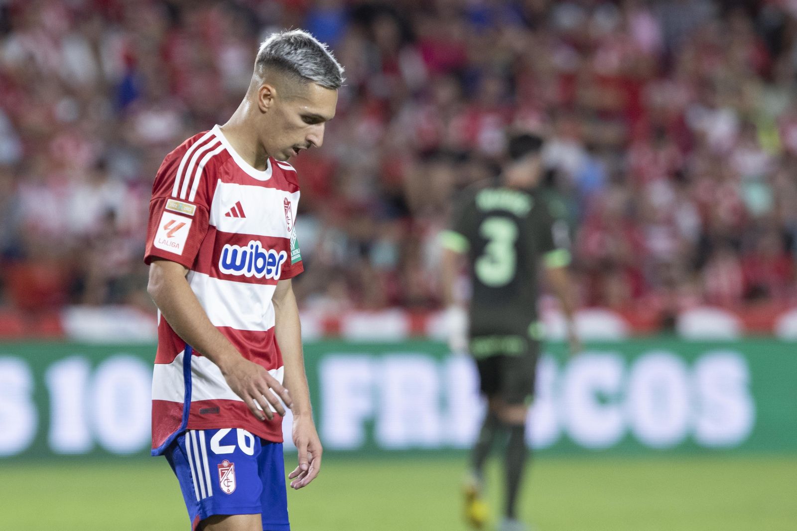 Las mejores imágenes del Granada CF - Girona FC