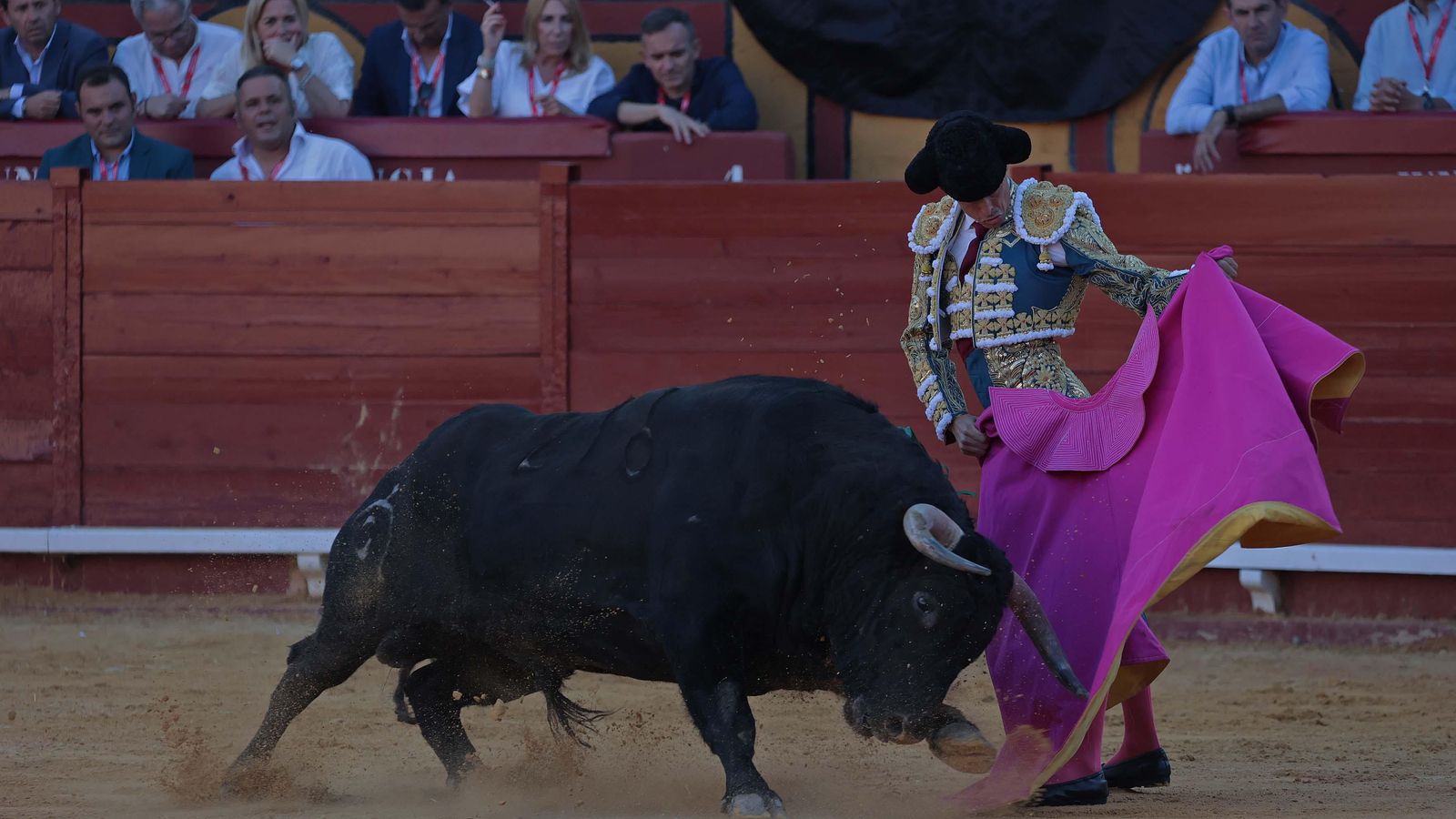 David Galván en la Feria de 2024. David Galván en la Feria de 2024.