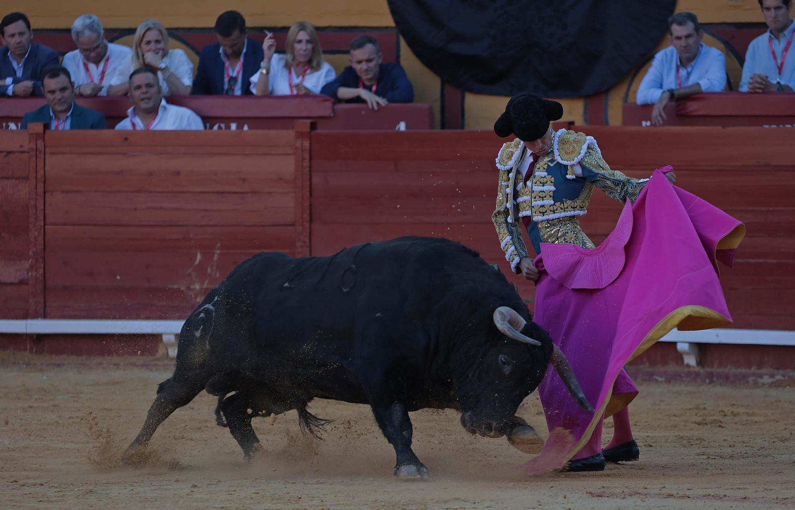 David Galv�n, primer toro  (2).jpg