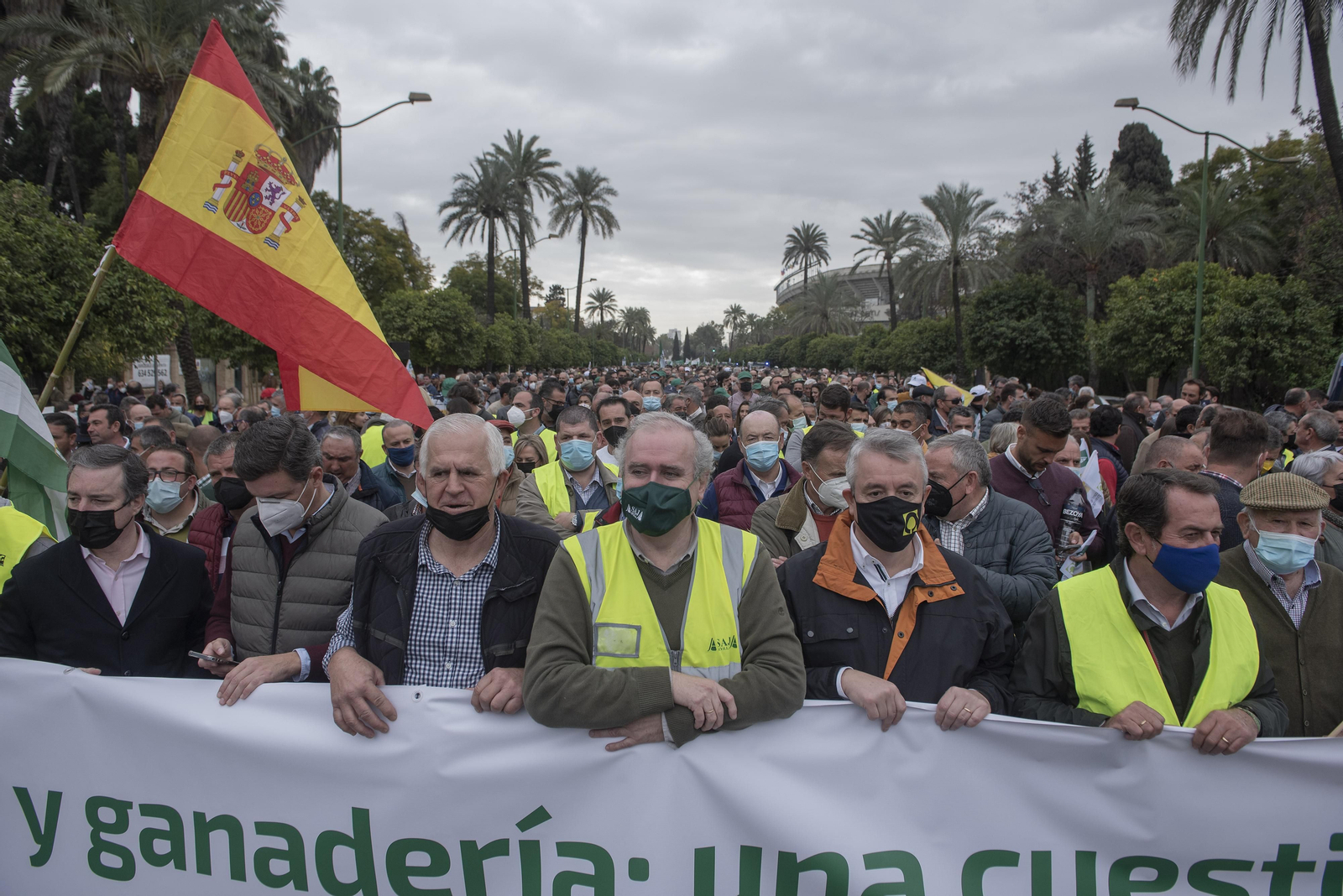 Las imágenes de la manifestación de agricultores de toda Andalucía en Sevilla