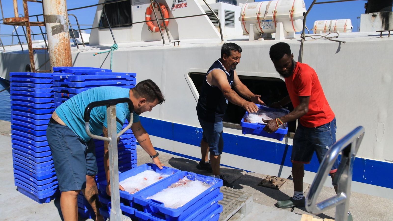 Descarga de cajas de Gamba Roja de Almería. Descarga de cajas de Gamba Roja de Almería.
