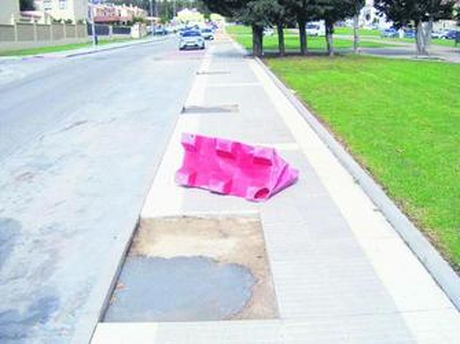 Los árboles han sido eliminados pese a lindar con una zona verde.